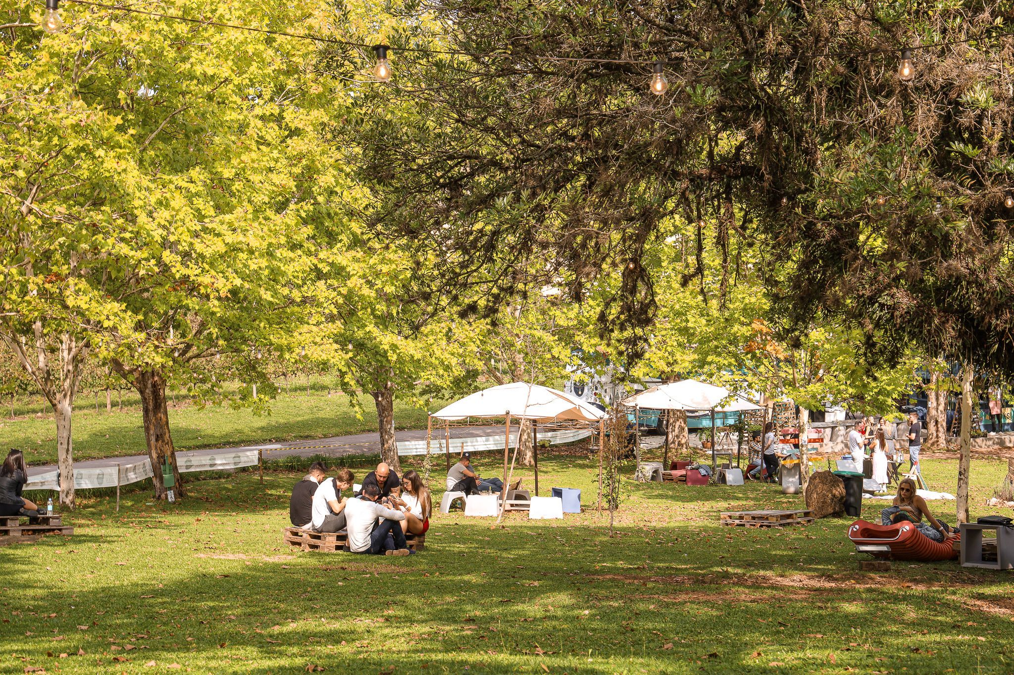 Circuito Wine Garden de Espumantes Wine Locals