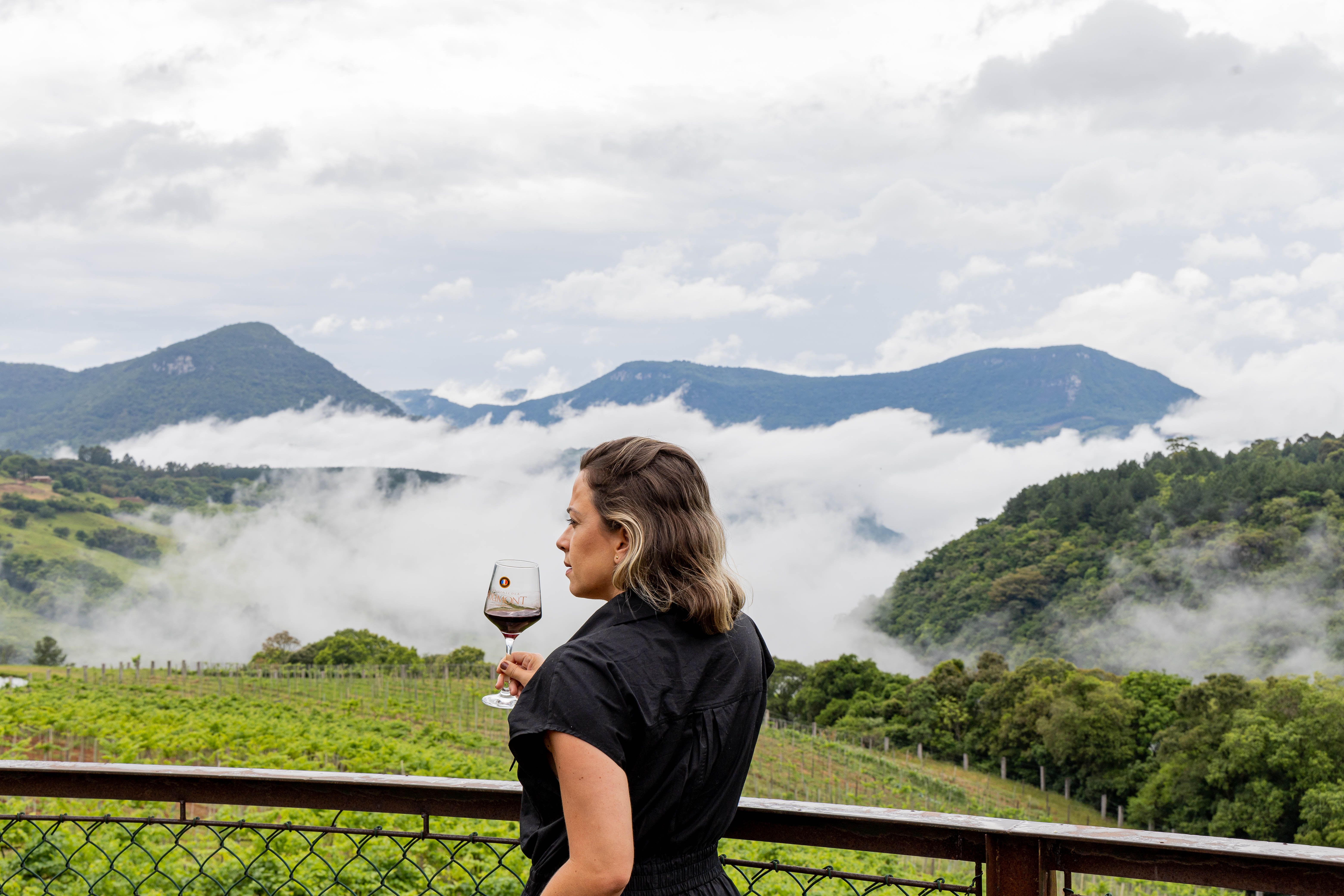 Vinícolas em Gramado e Canela - Wine Locals