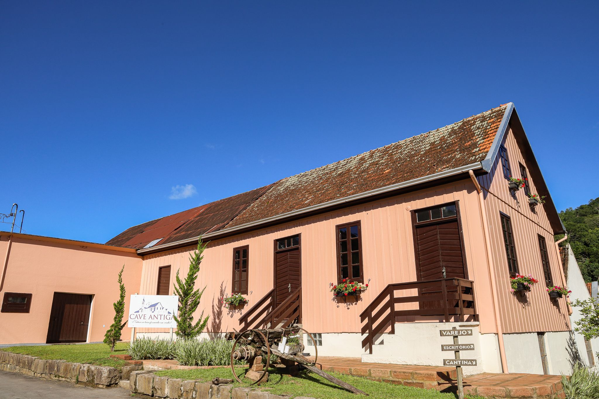 Image - 6