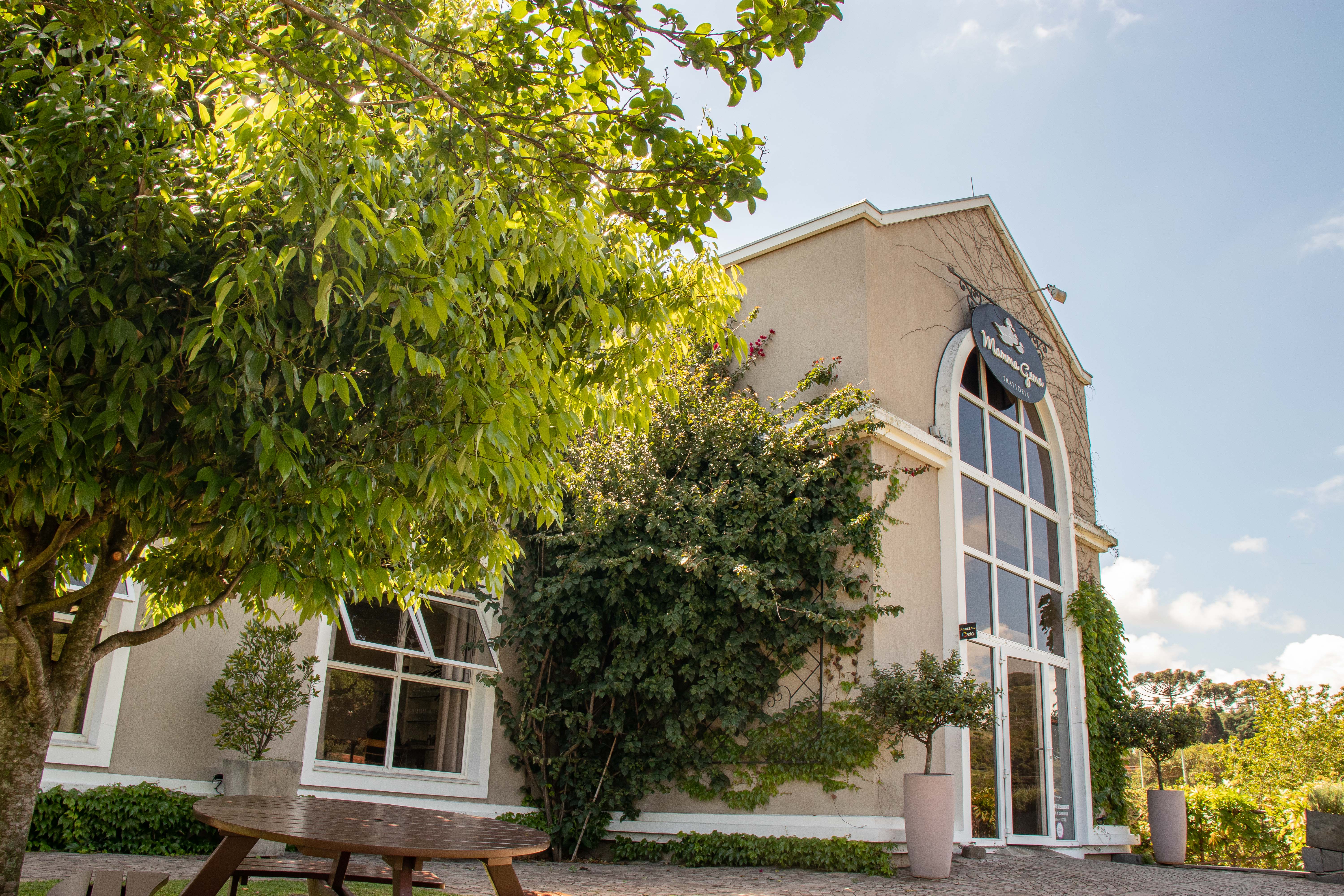 Image - 12