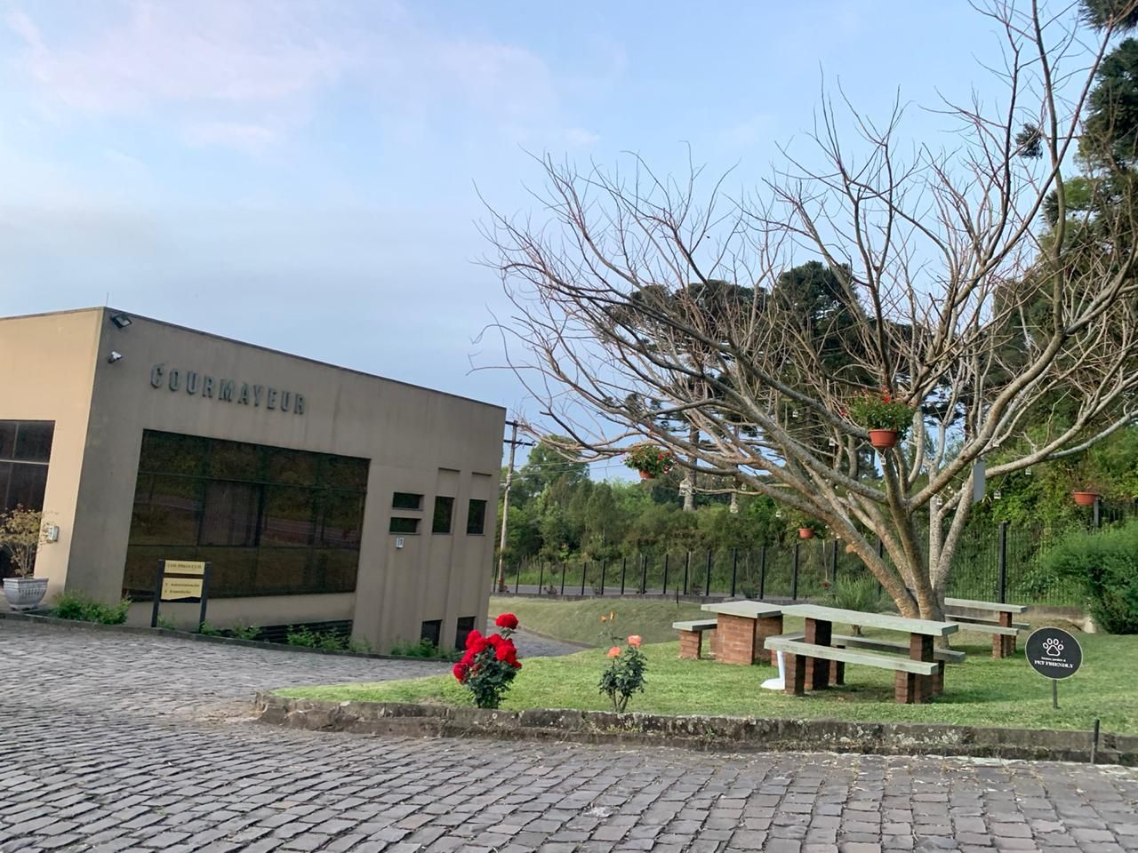 Image - 3
