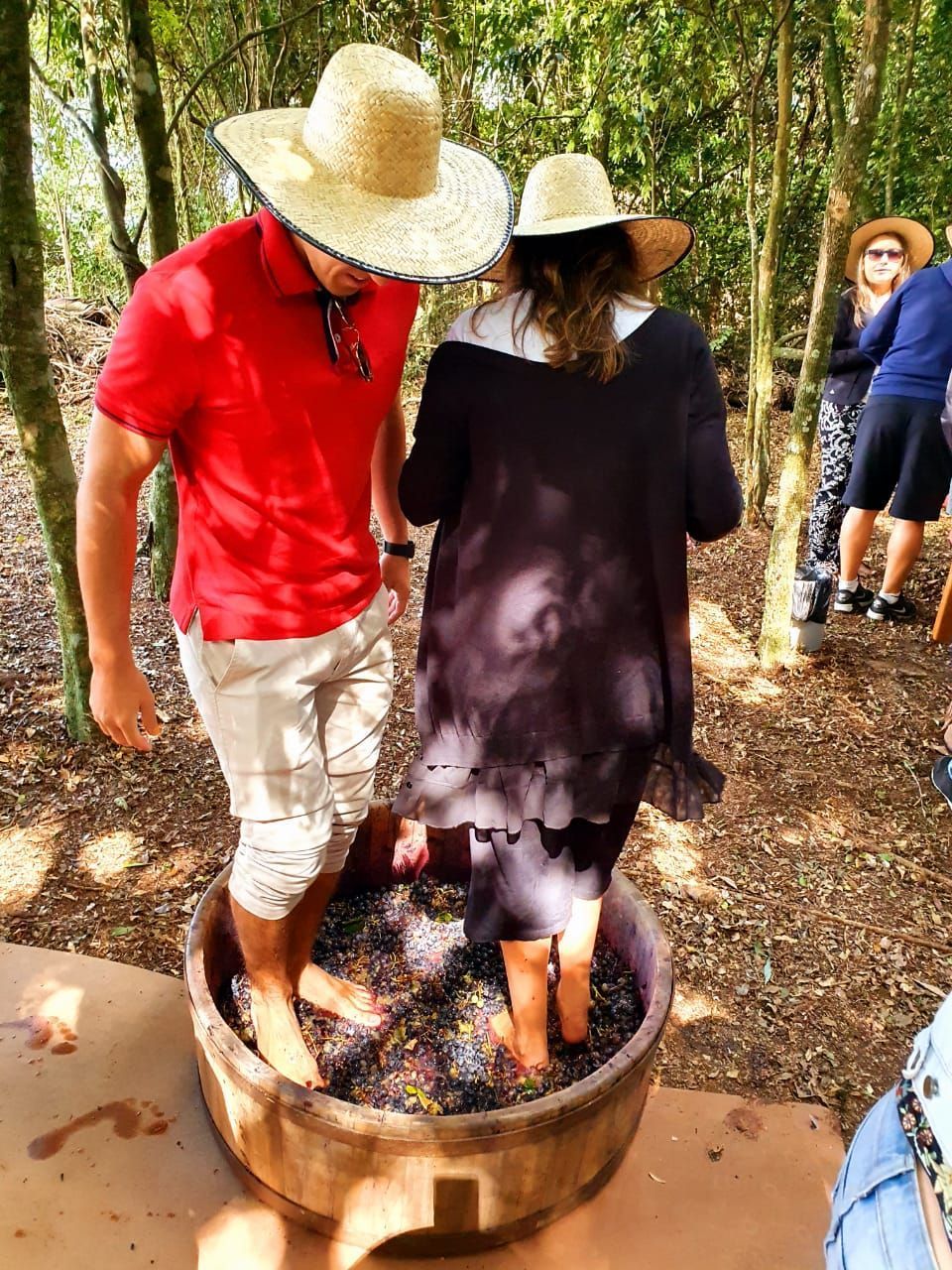 Whats_App_Image_2020_11_23_at_11_43_47_5ce2cf3fa0_e2137d500f.jpeg