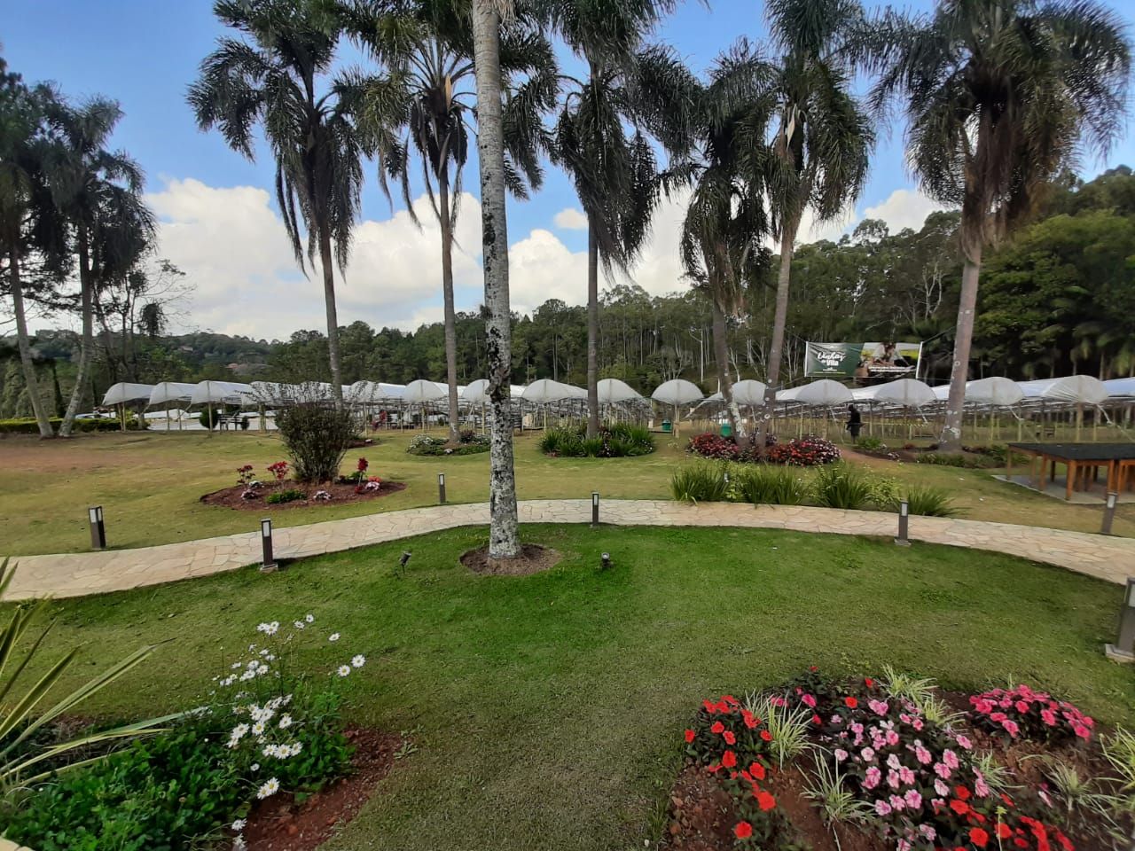 Image - 5