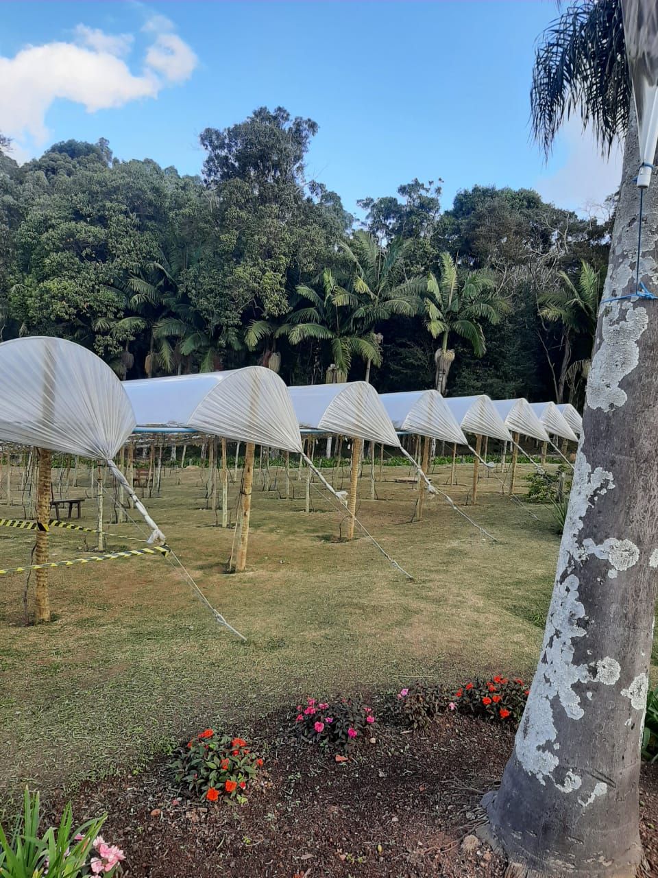 Image - 6
