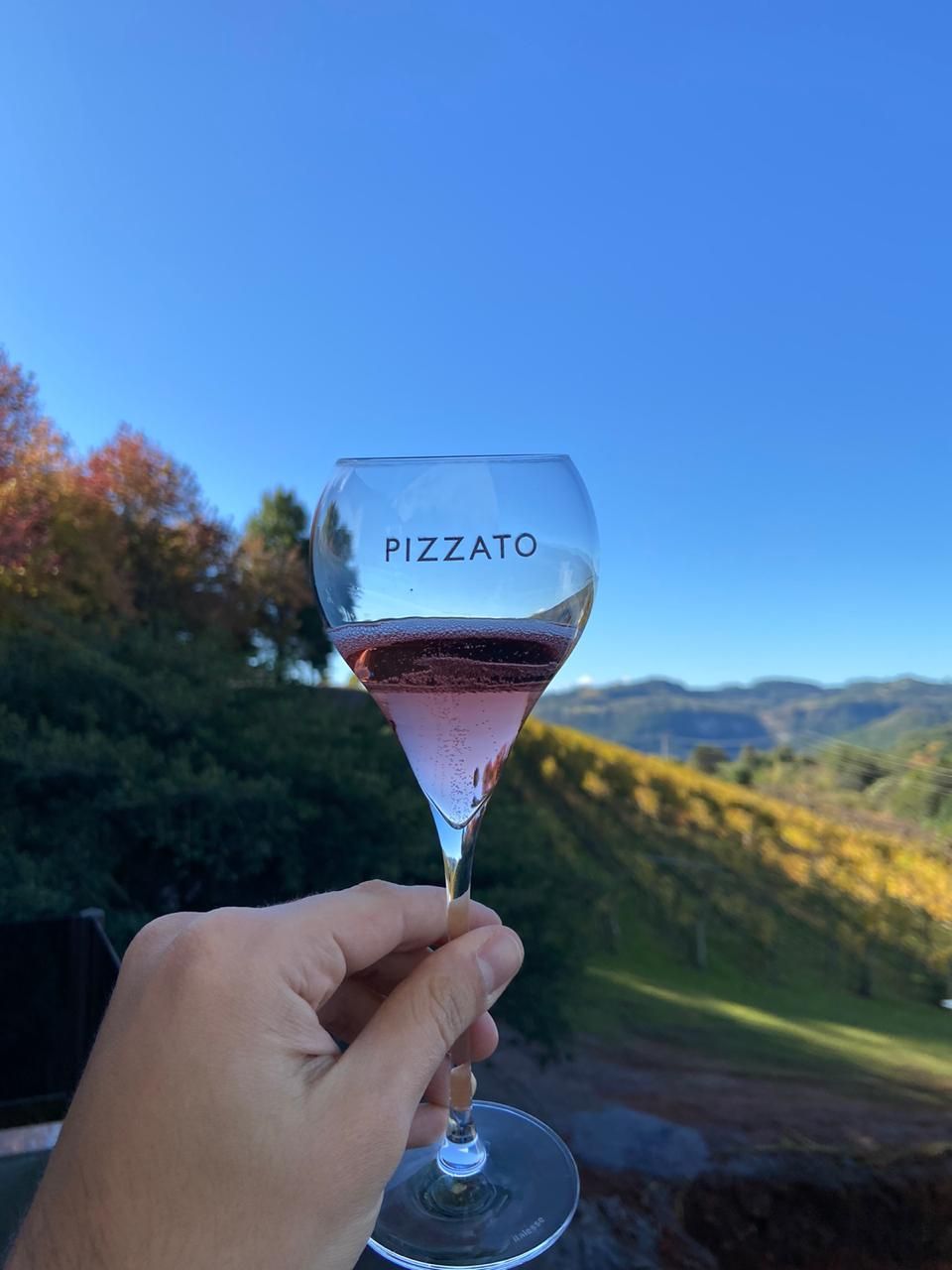degustacao_de_vinhos_orientada_na_vinicola_pizzato_gallery_2_0056e9fc7a.jpg