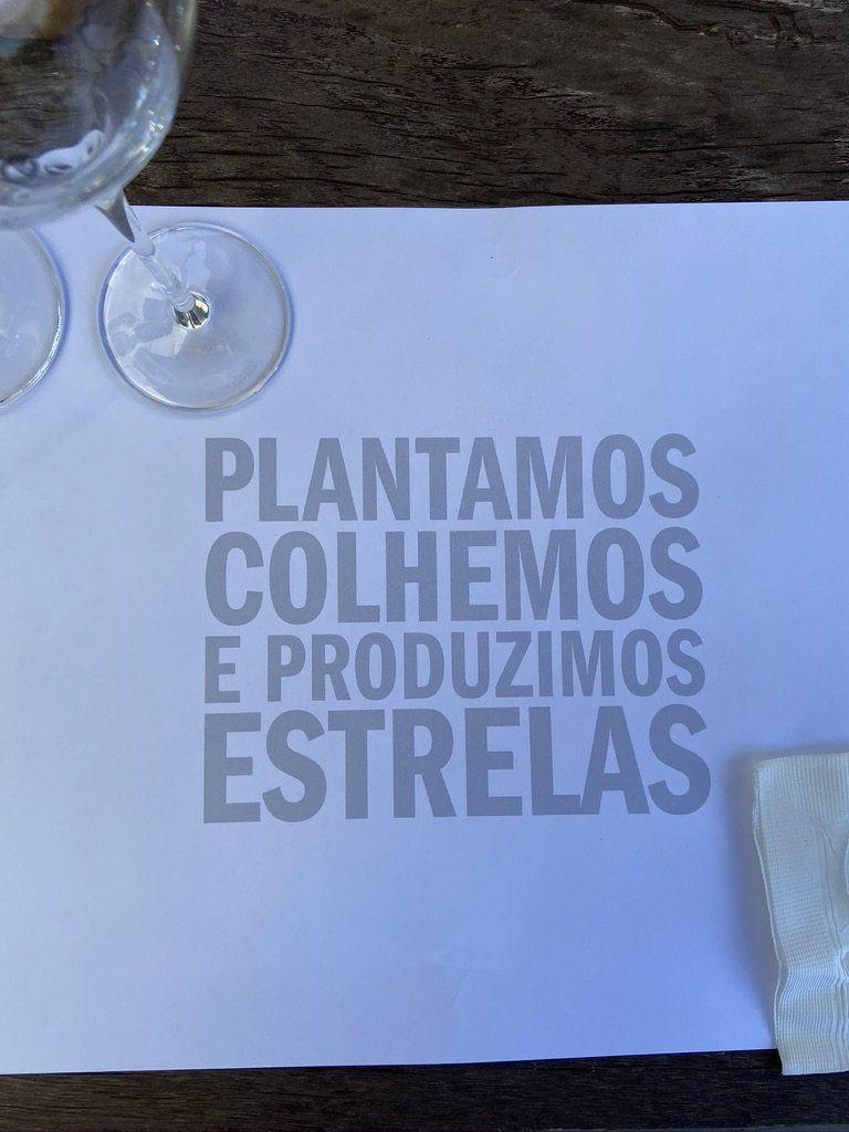 degustacao_de_vinhos_orientada_na_vinicola_pizzato_gallery_6_1843dfd53c.jpg