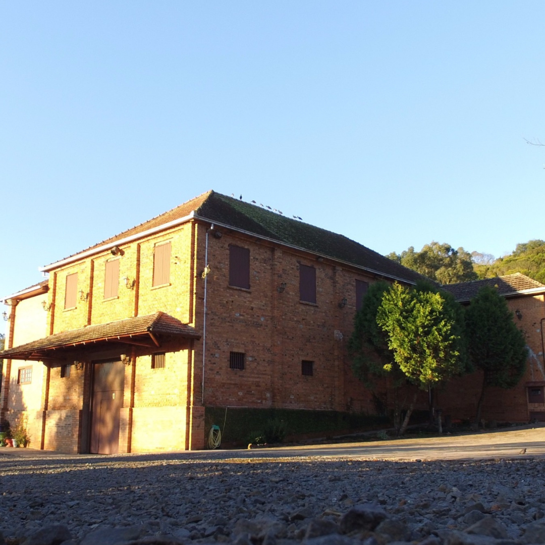 Image - 1