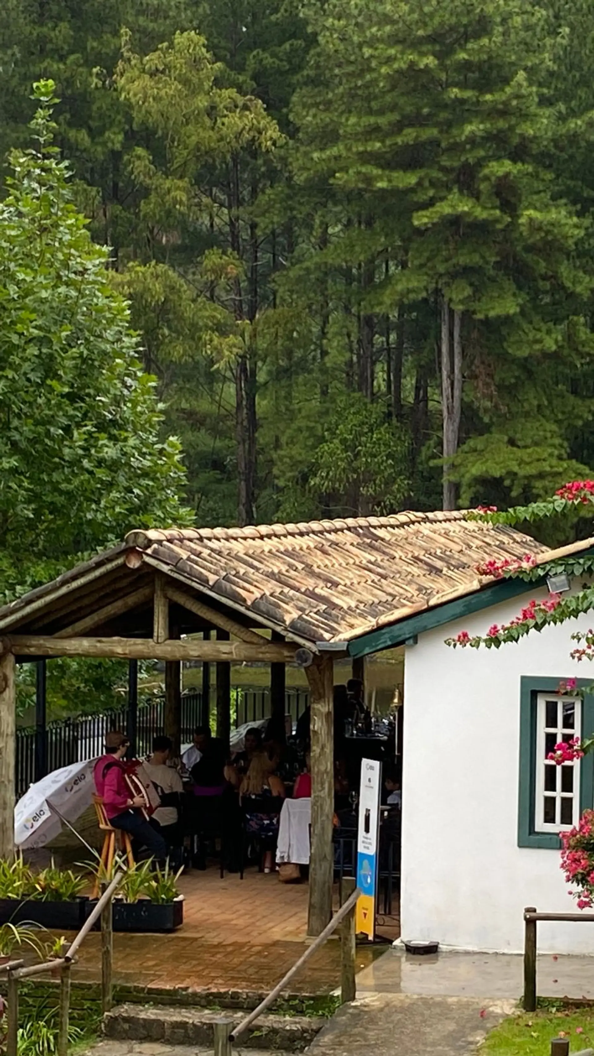 Image - 5