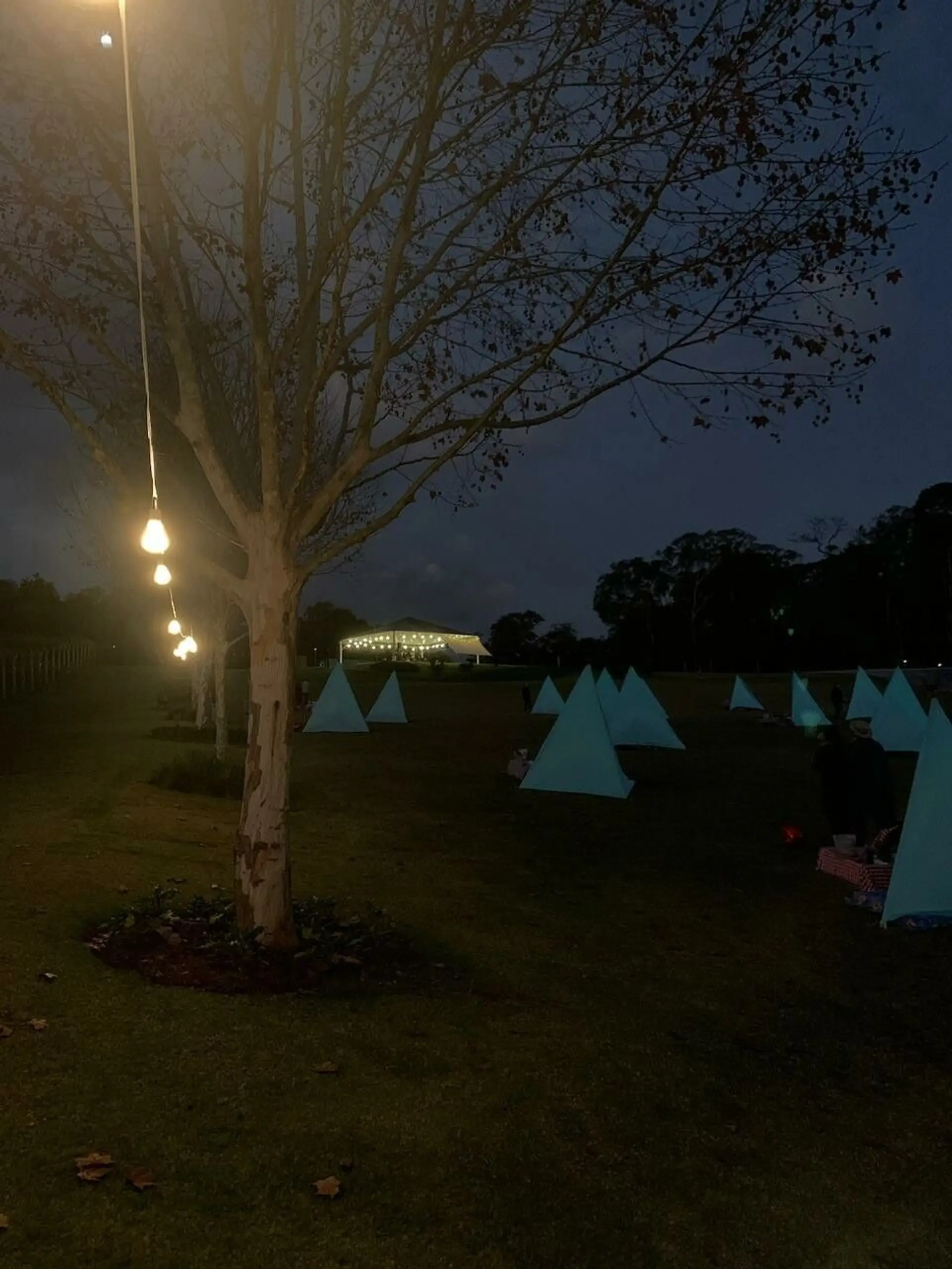Image - 3