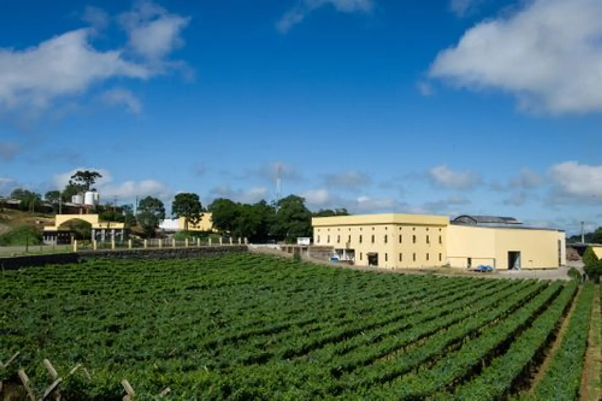 Image - 9