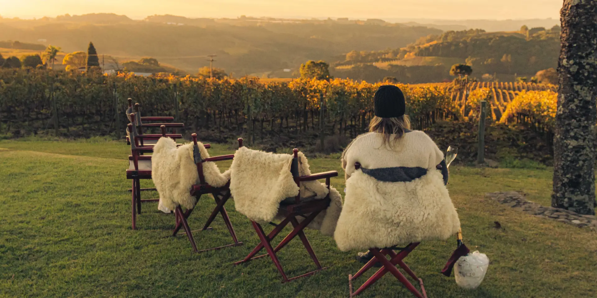 Vinícolas em Gramado e Canela - Wine Locals