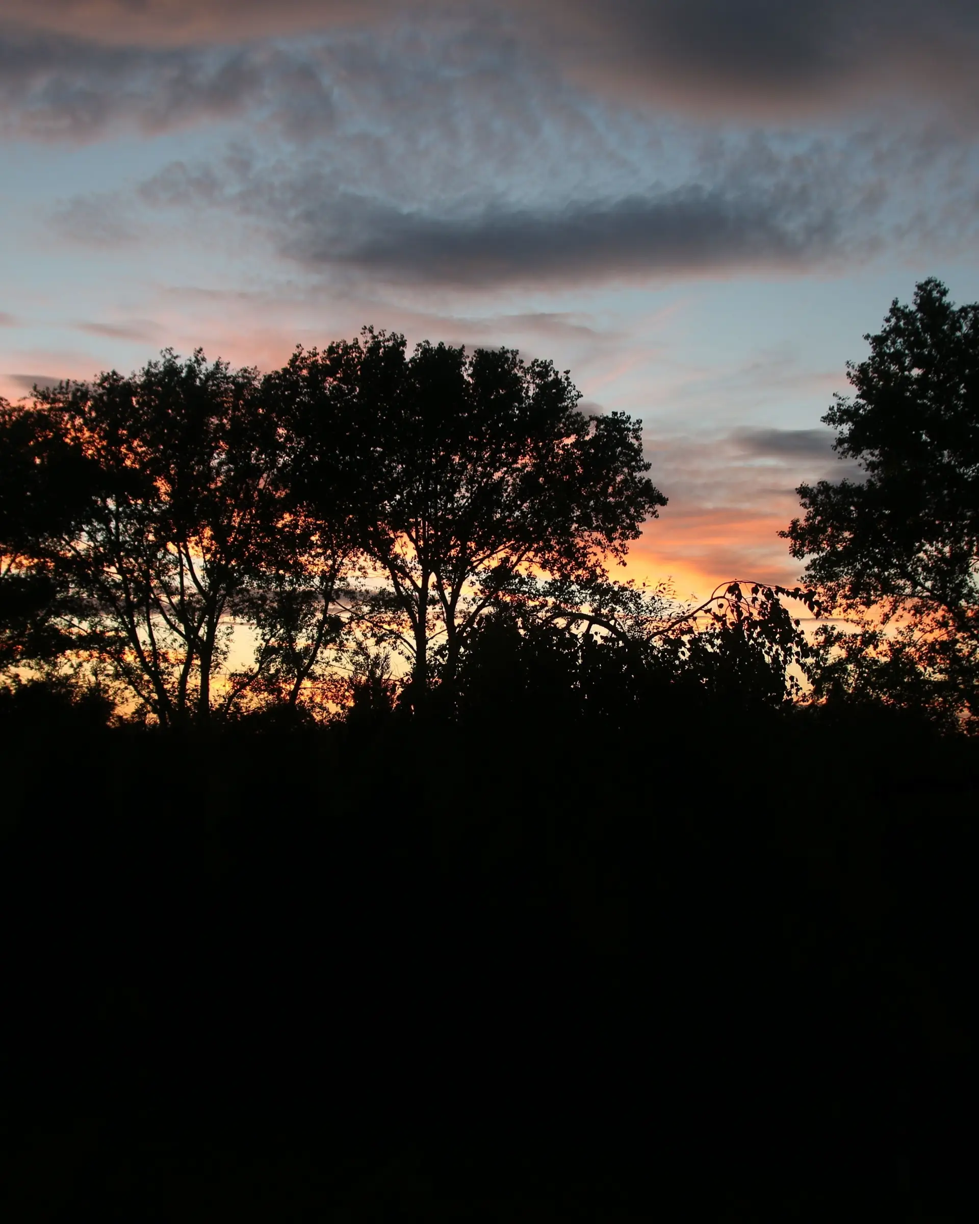 Image - 8