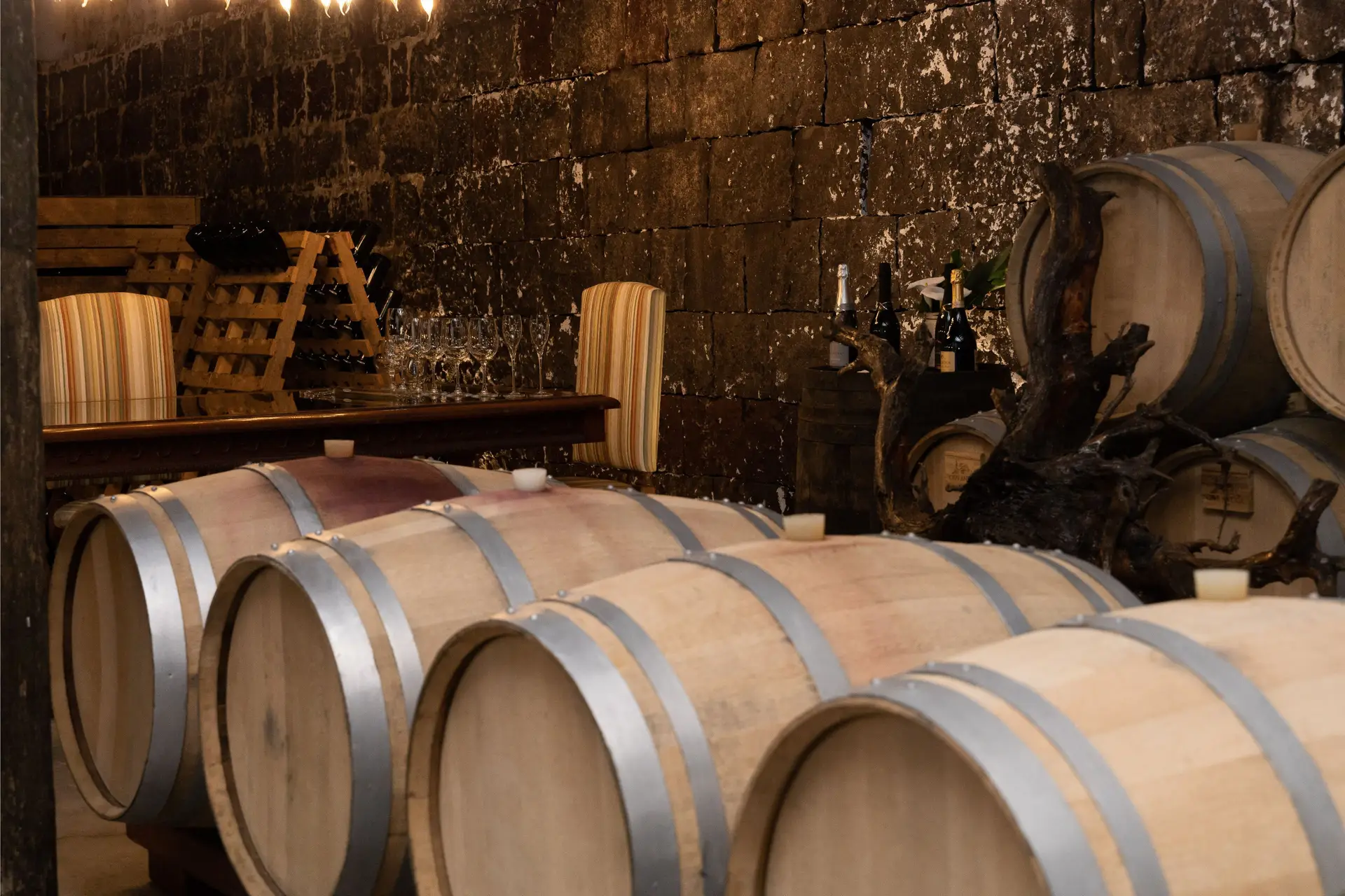 tour-e-degusta-o-de-5-vinhos-na-cave-antiga-wine-locals