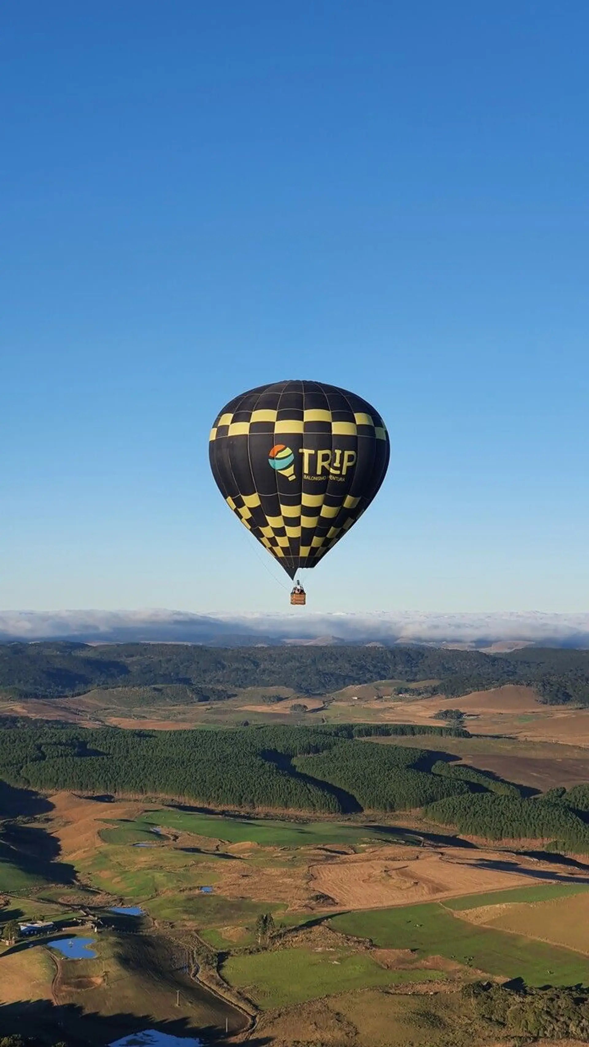 Image - 0