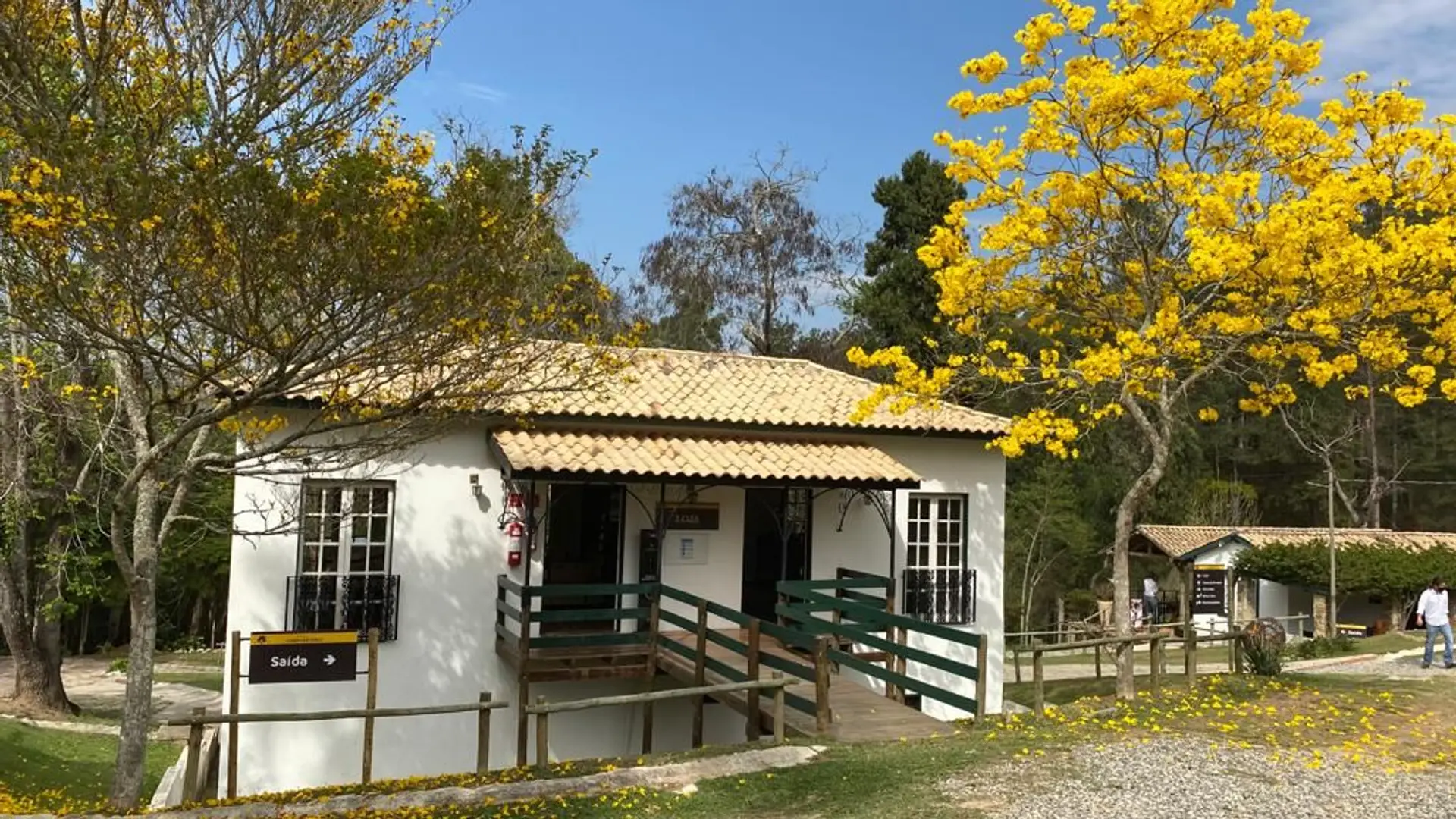 Image - 1