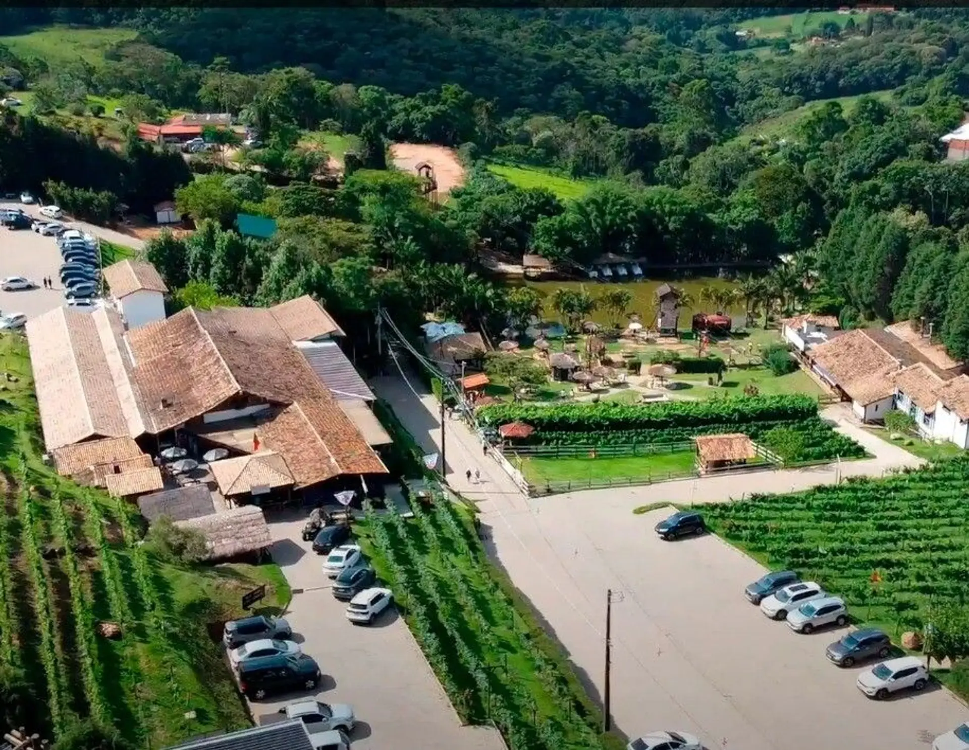 Image - 5