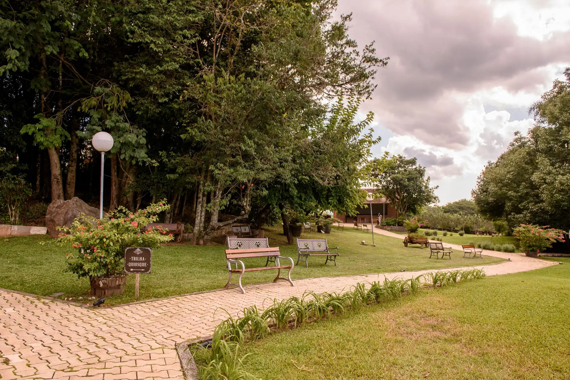 Image - 4