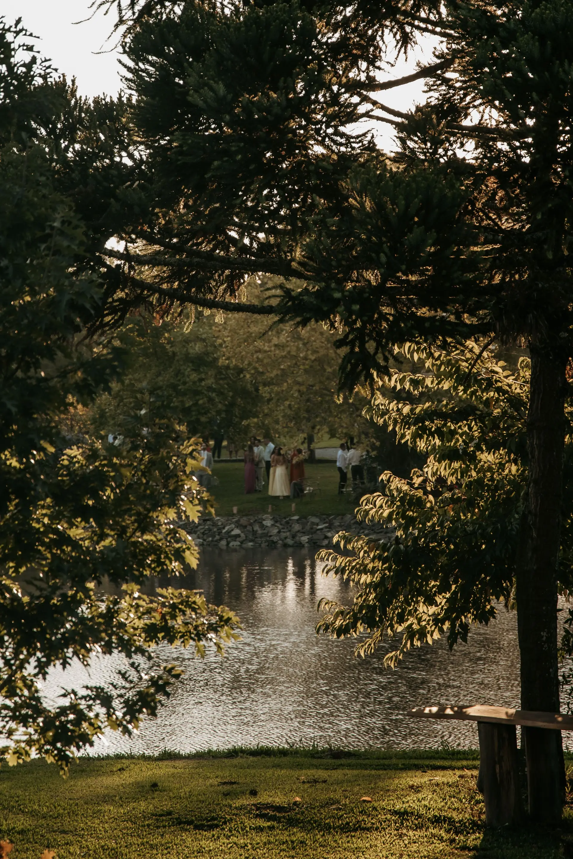 Image - 2