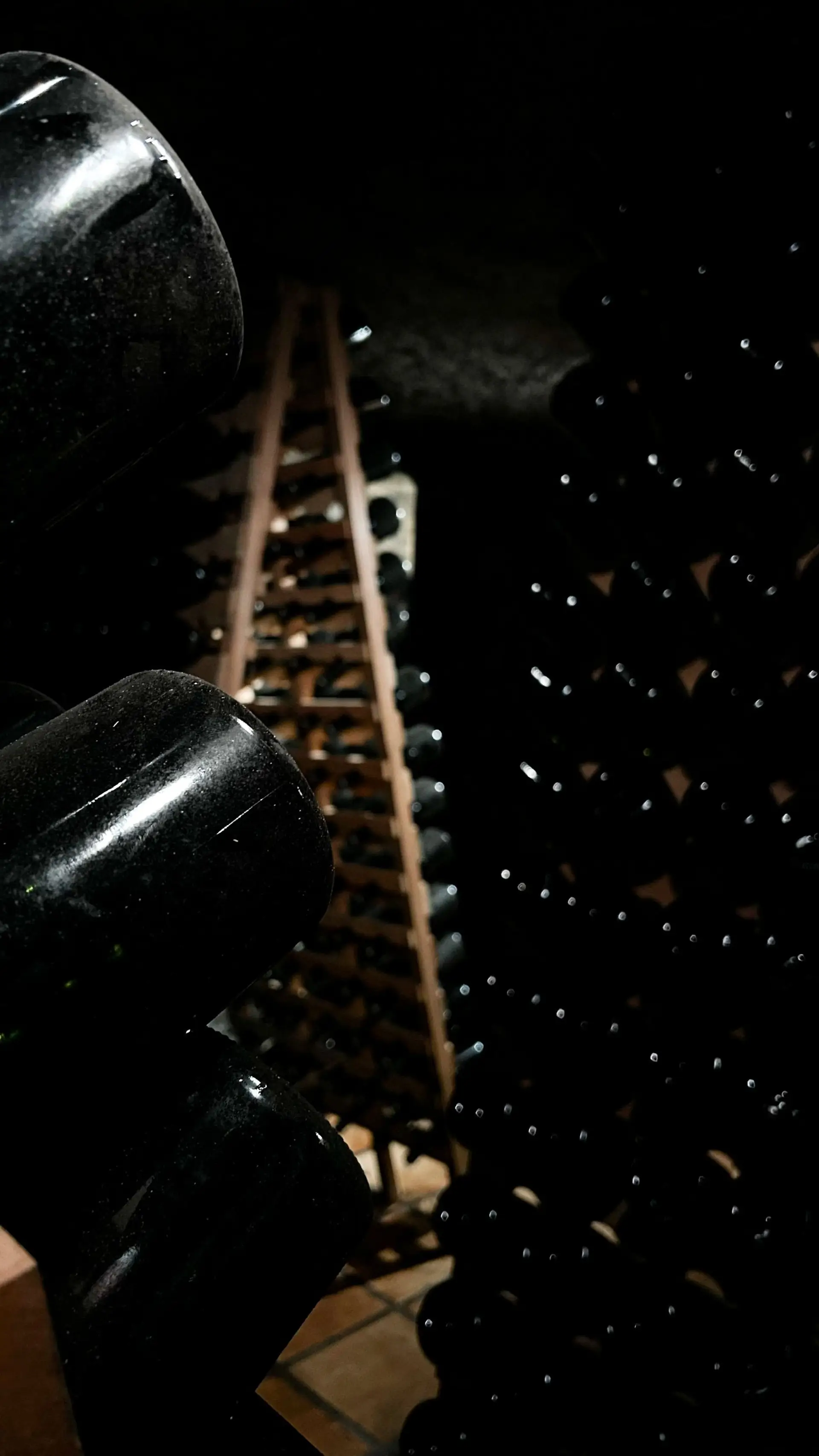 Image - 5