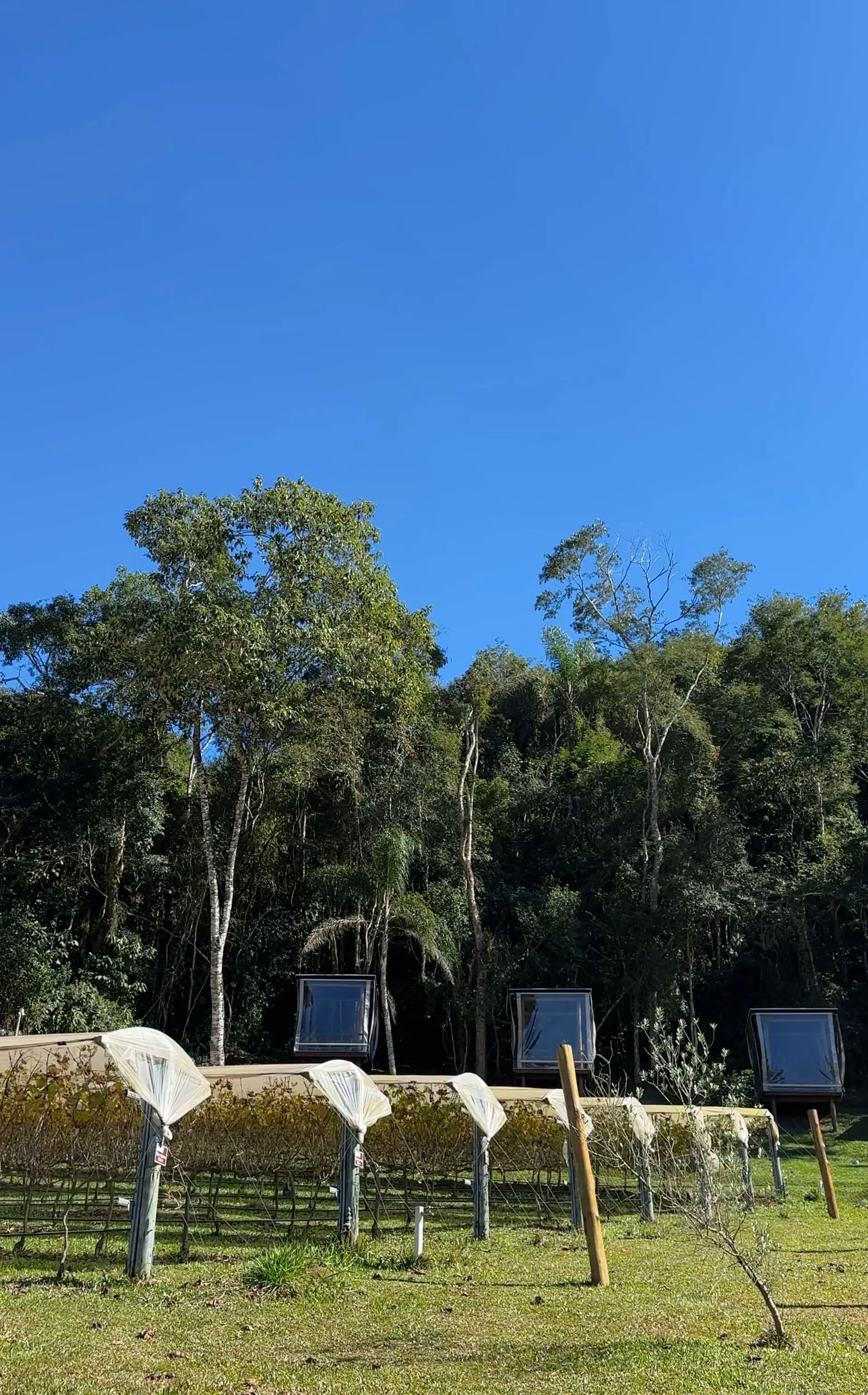 Image - 7