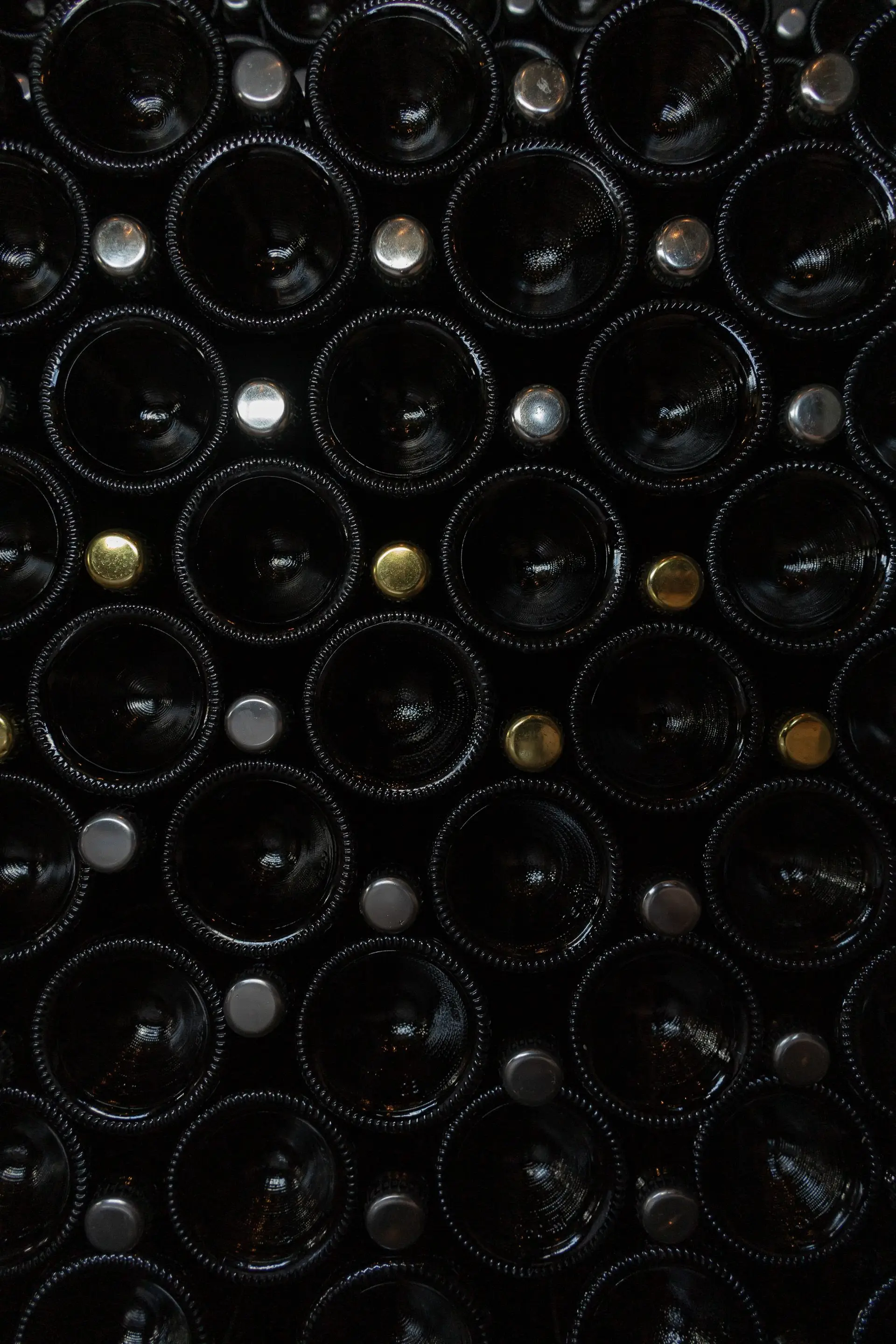 Image - 7