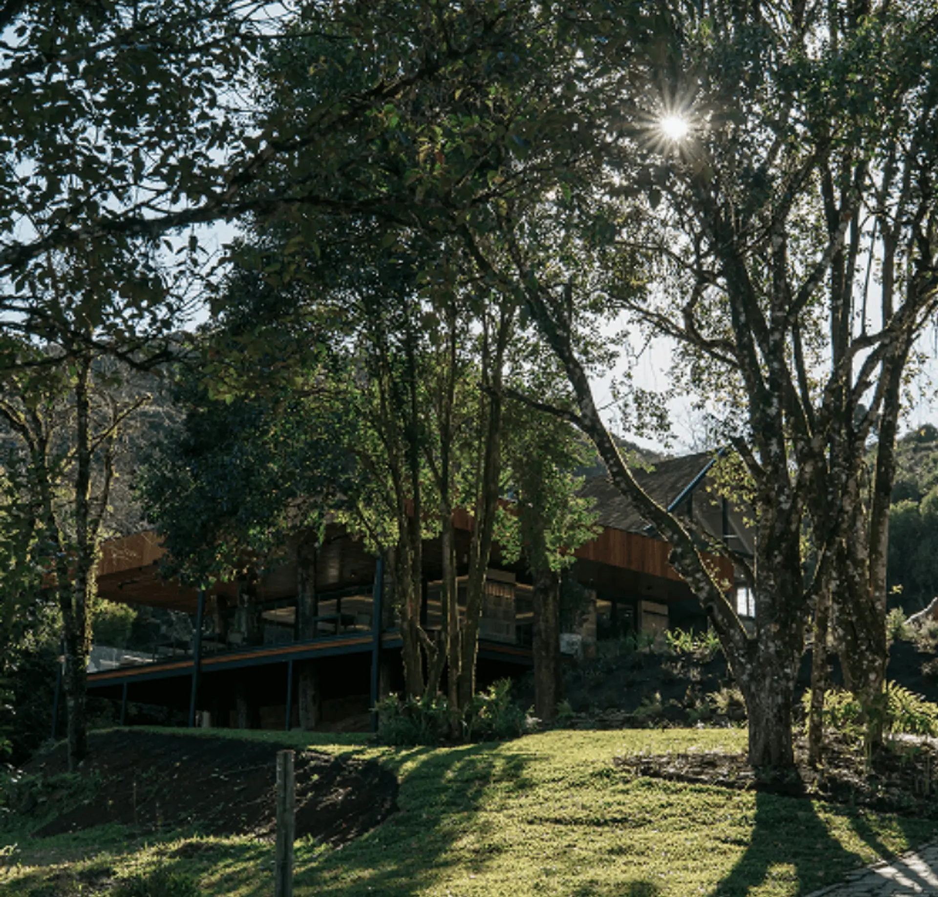 Image - 5