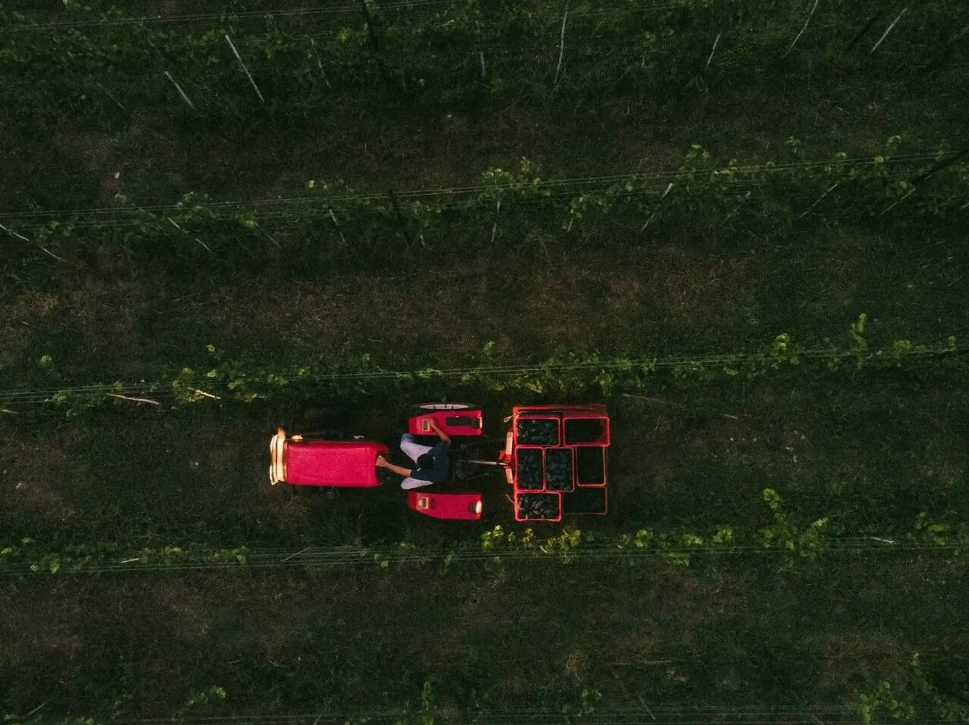 Image - 9