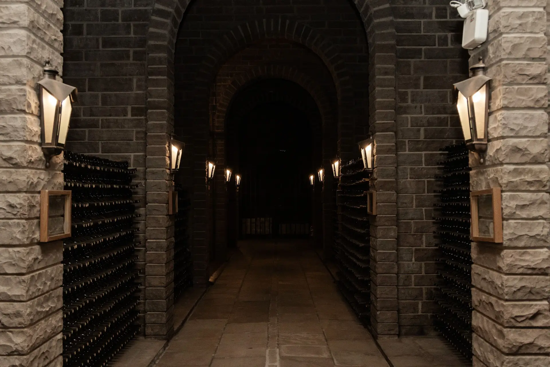 Image - 7