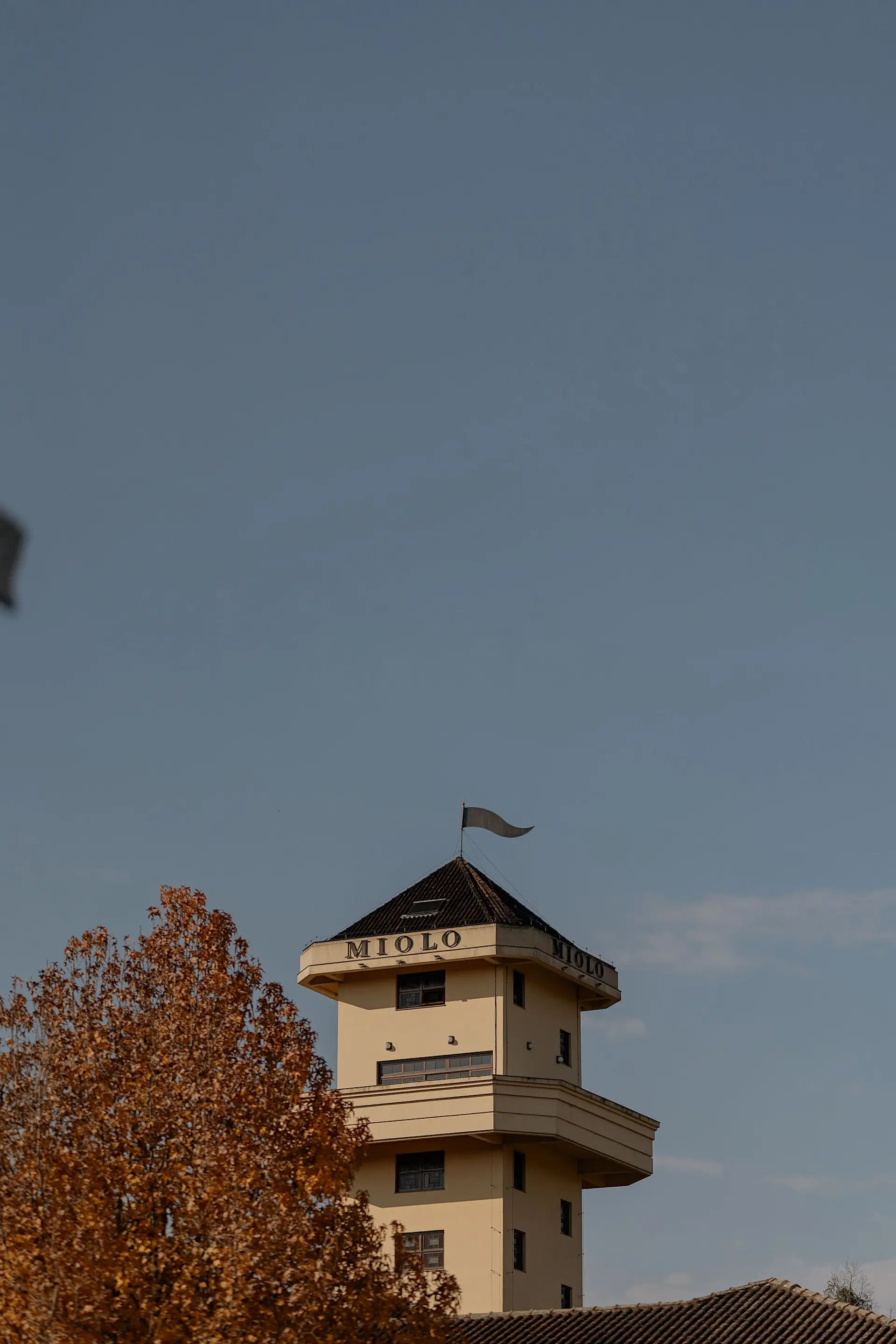 Image - 9