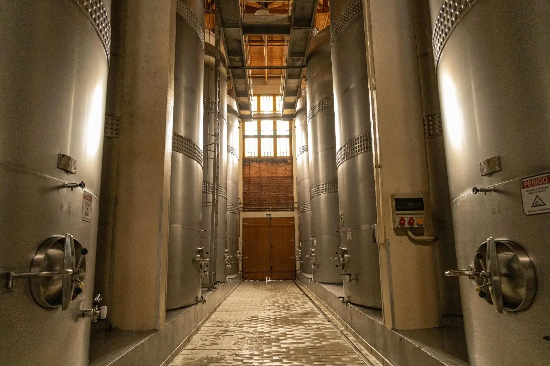 Image - 7
