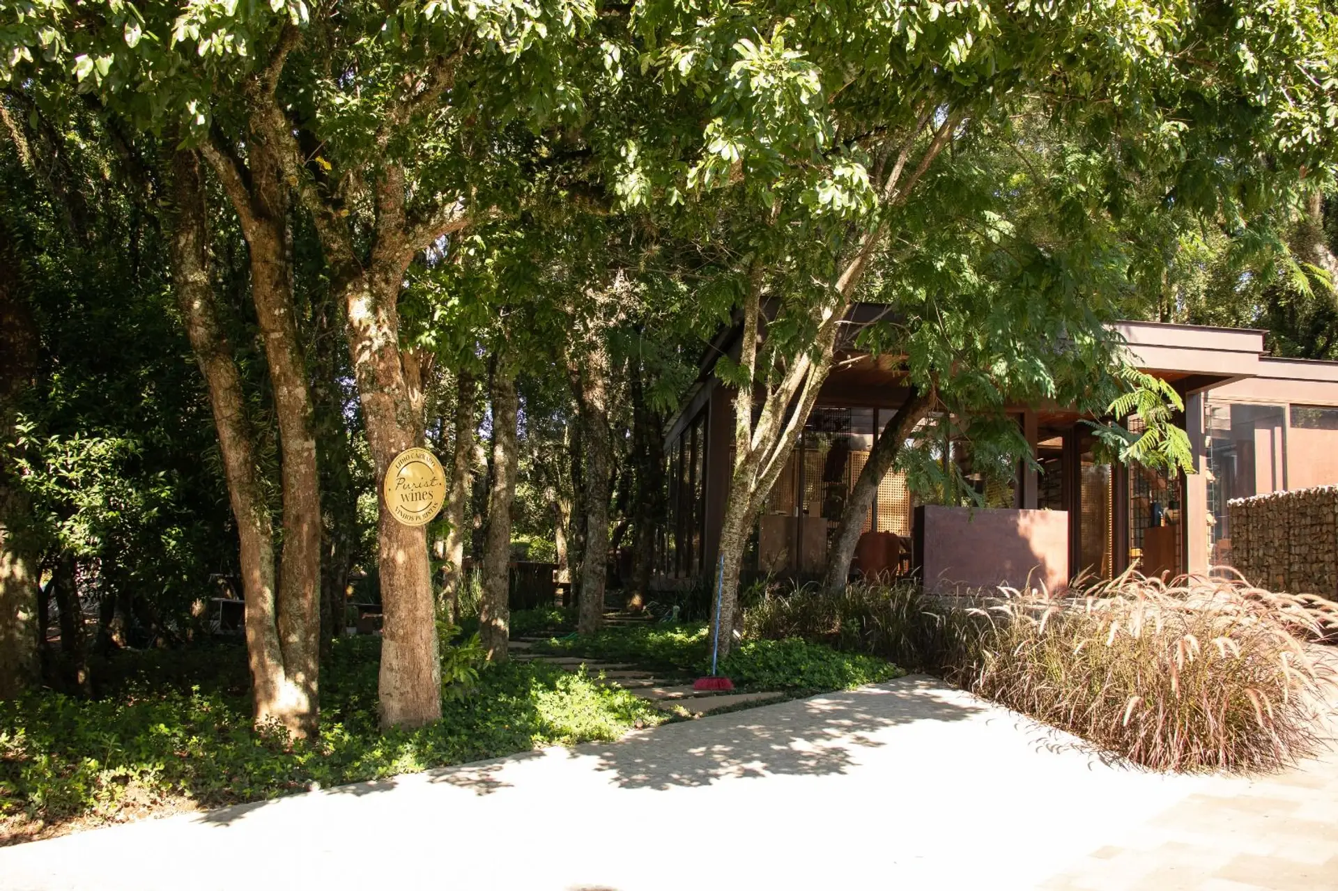 Image - 5