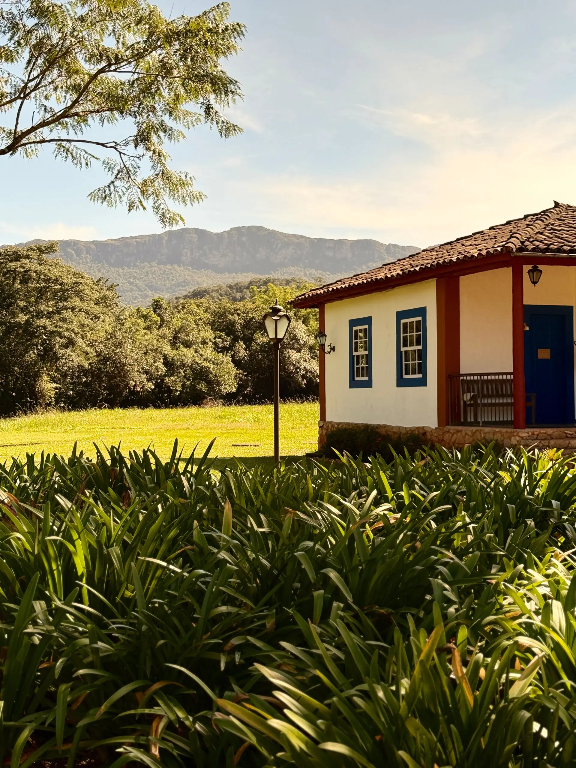 Image - 5