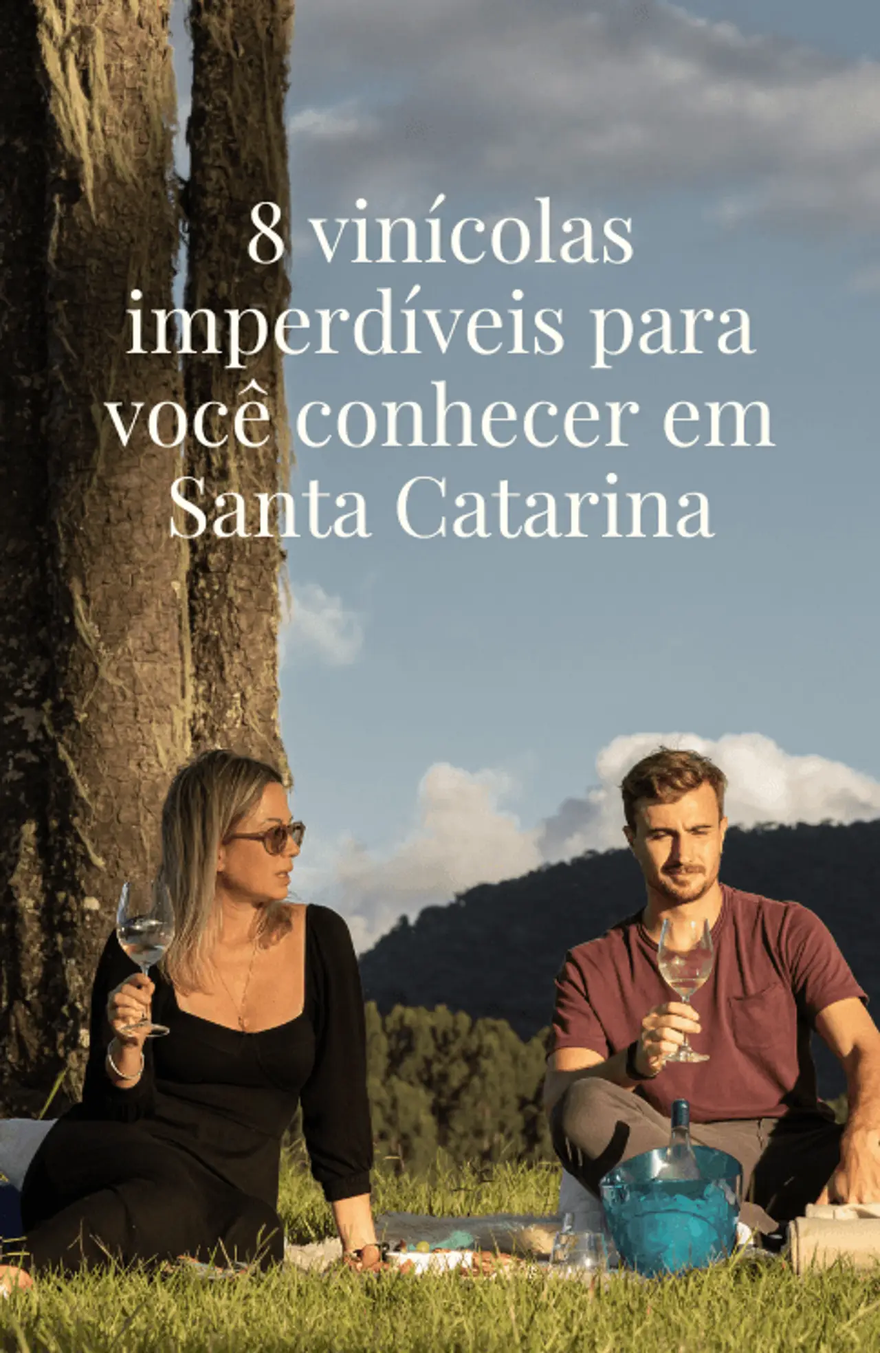 Cover - 150