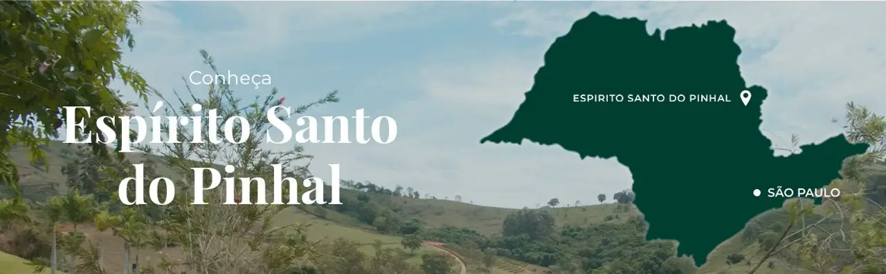 Santa Maria x São Paulo - Viaje com a Planalto! - Planalto