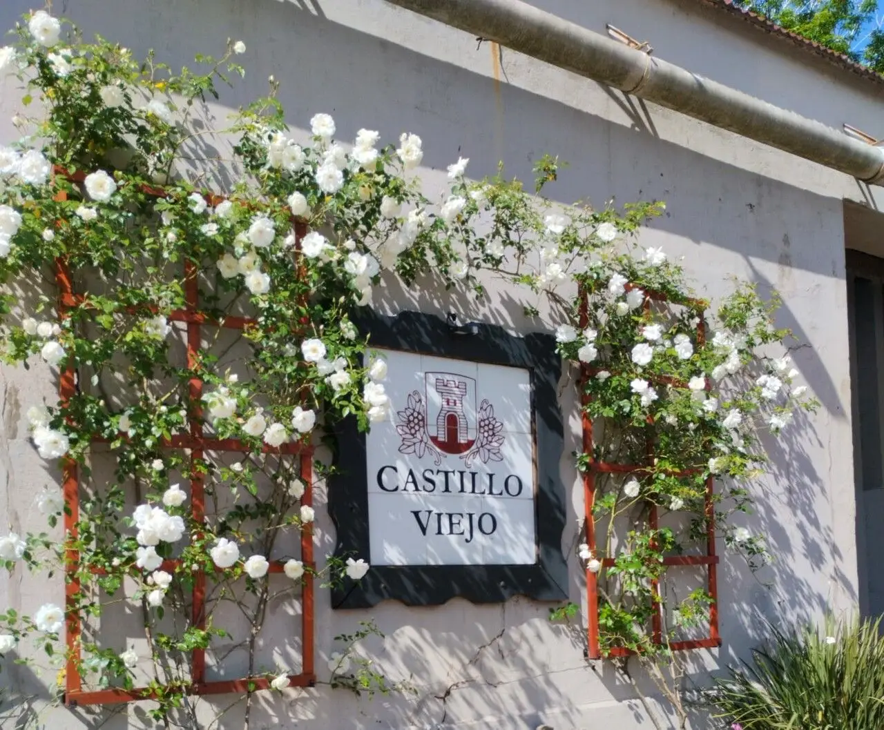 Cover - Visita, degustação e almoço 3 passos na Bodegas Castillo Viejo