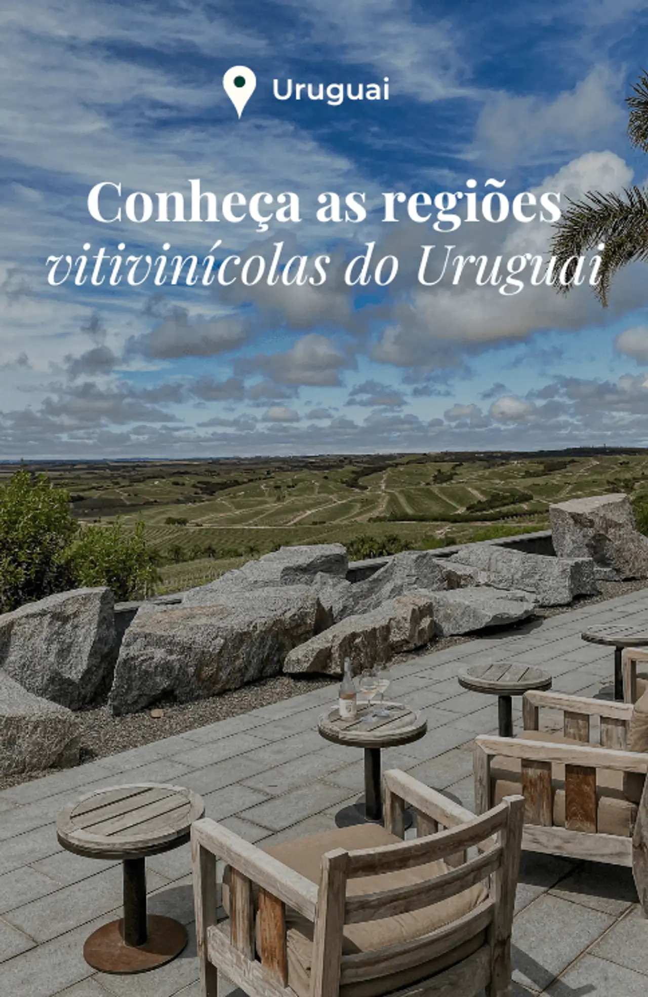 Cover - 213