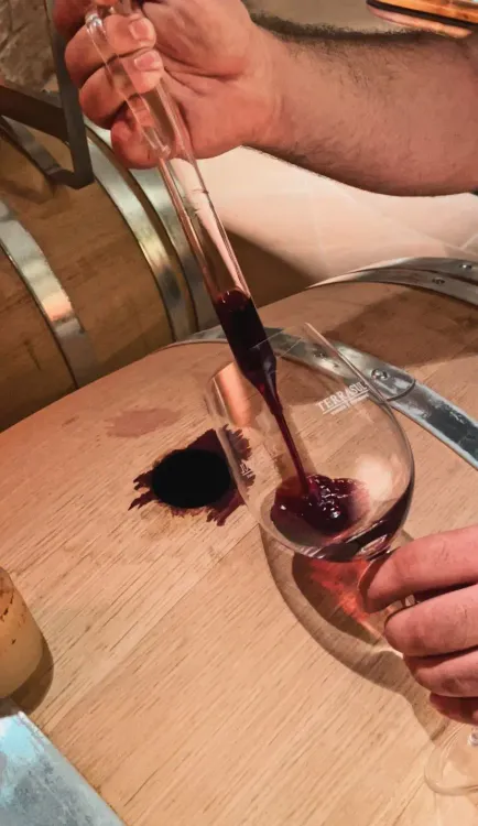 Terra_Sul_Vinhos_Finos_Degustacao_de_vinhos_no_Terra_Sul_Vinhos_Finos_04_d1bbcdbc3e.webp