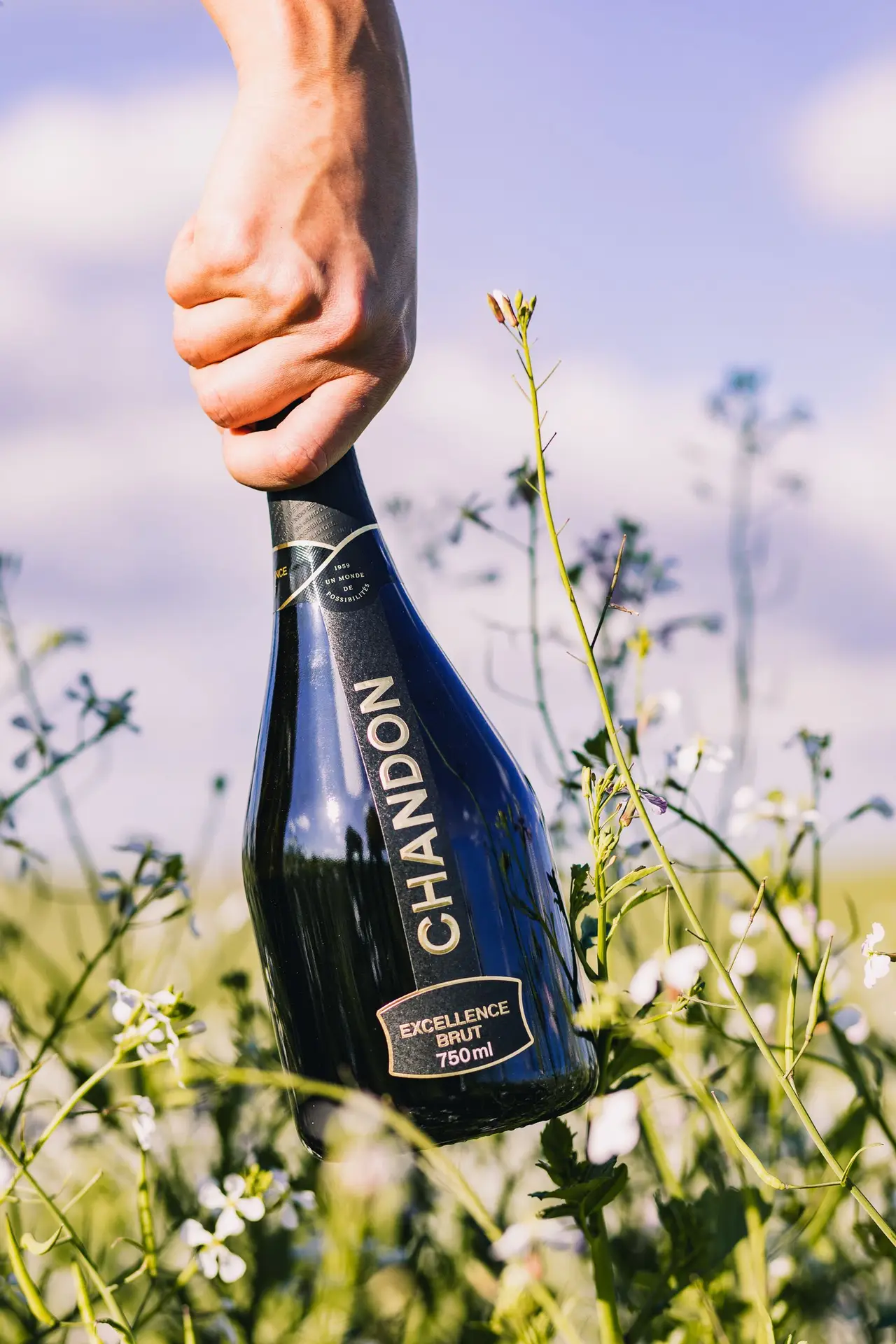 Cover - [15/11] Vertical Chandon Excellence