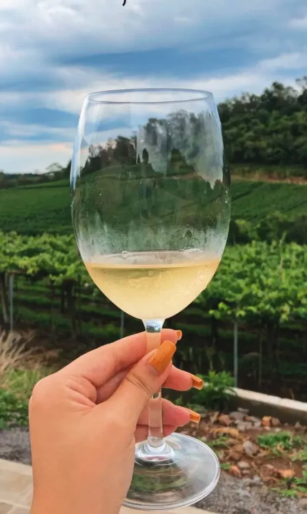 Vinhos_Fabian_Degustacao_Vinhos_Fabian_04_945d9b2ecf.webp