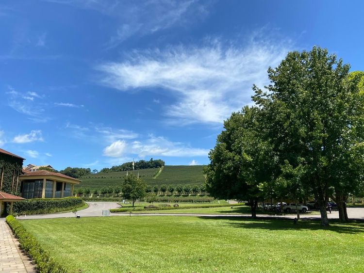 Vinicola_Miolo_21_748a9de122.jpeg