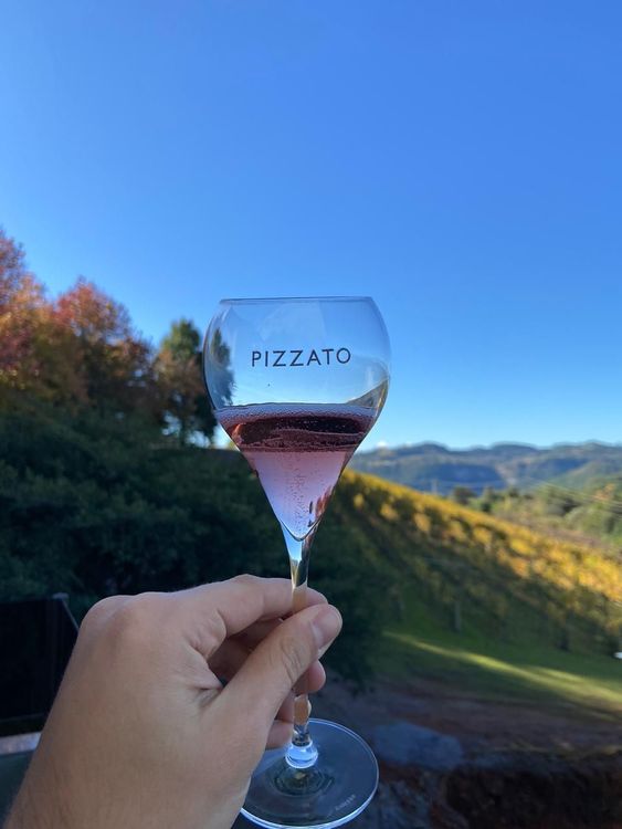 degustacao_de_vinhos_orientada_na_vinicola_pizzato_gallery_2_0056e9fc7a.jpg