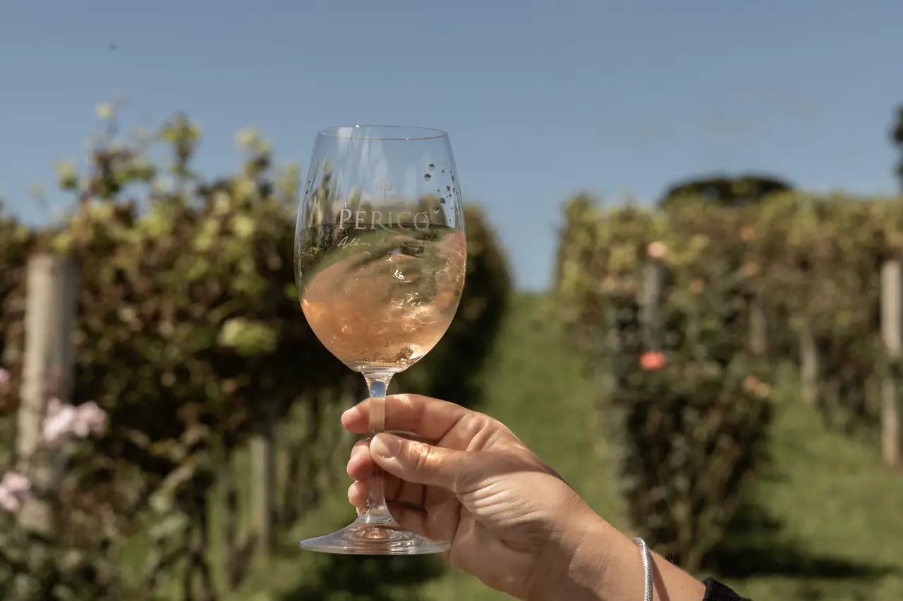 Cover - A Arte do Vinho em Evolução na Vinícola Pericó