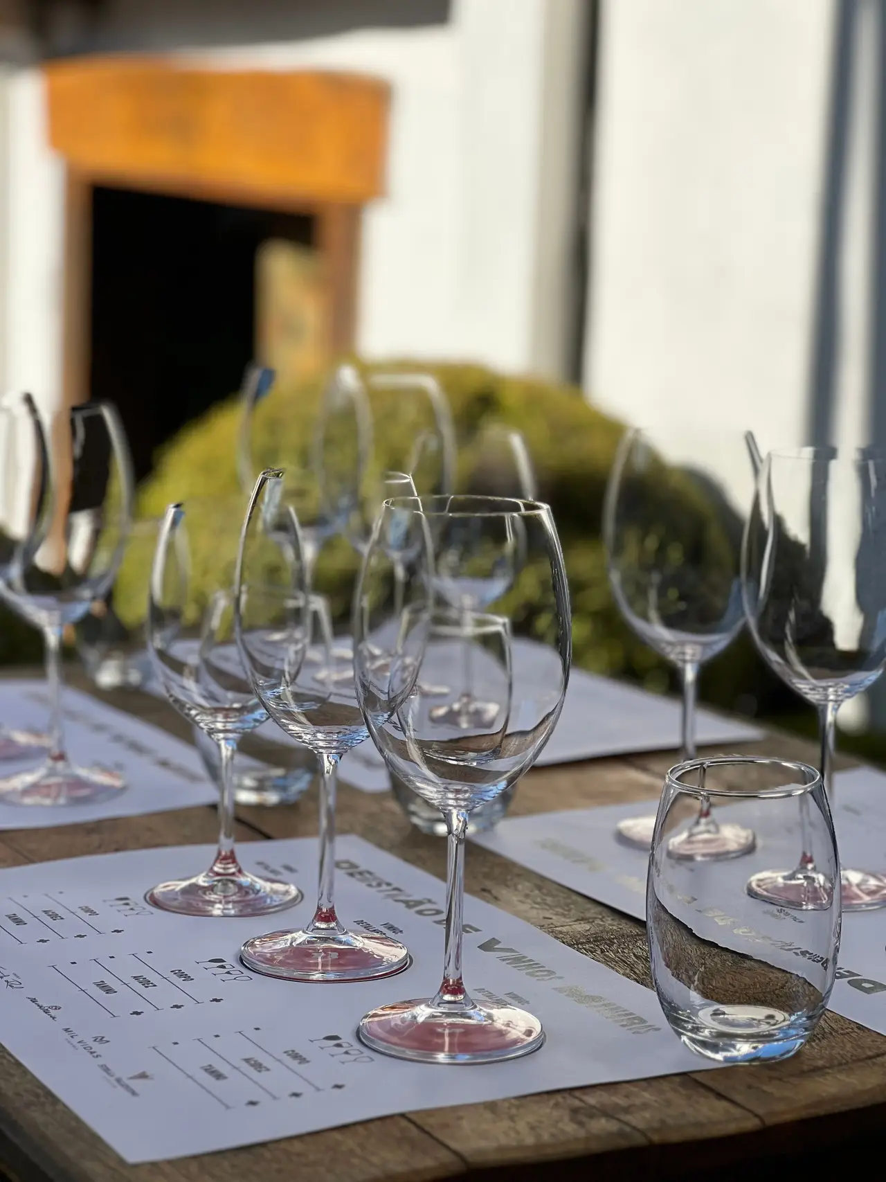 Cover - Degustação Familia Dardanelli by Liber Wines no Festival Vinho e Jazz Tiradentes