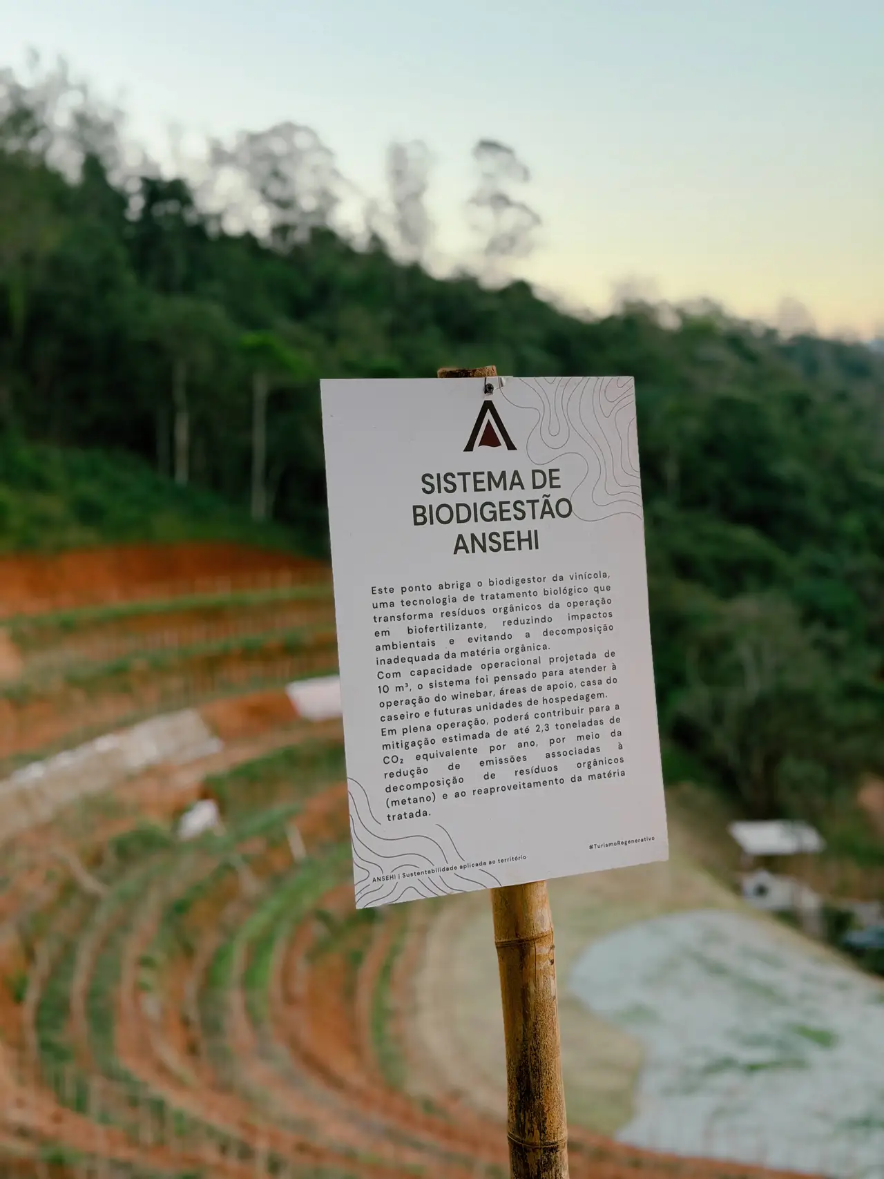 Cover Card