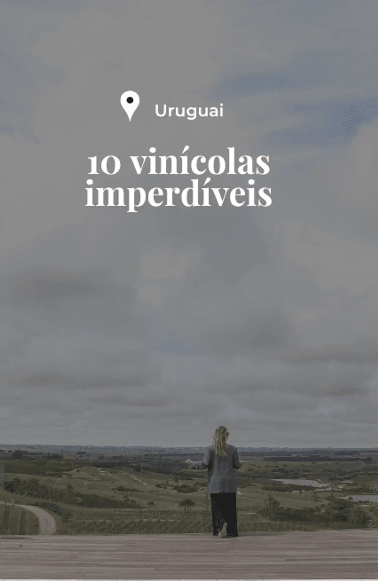 Cover - 203