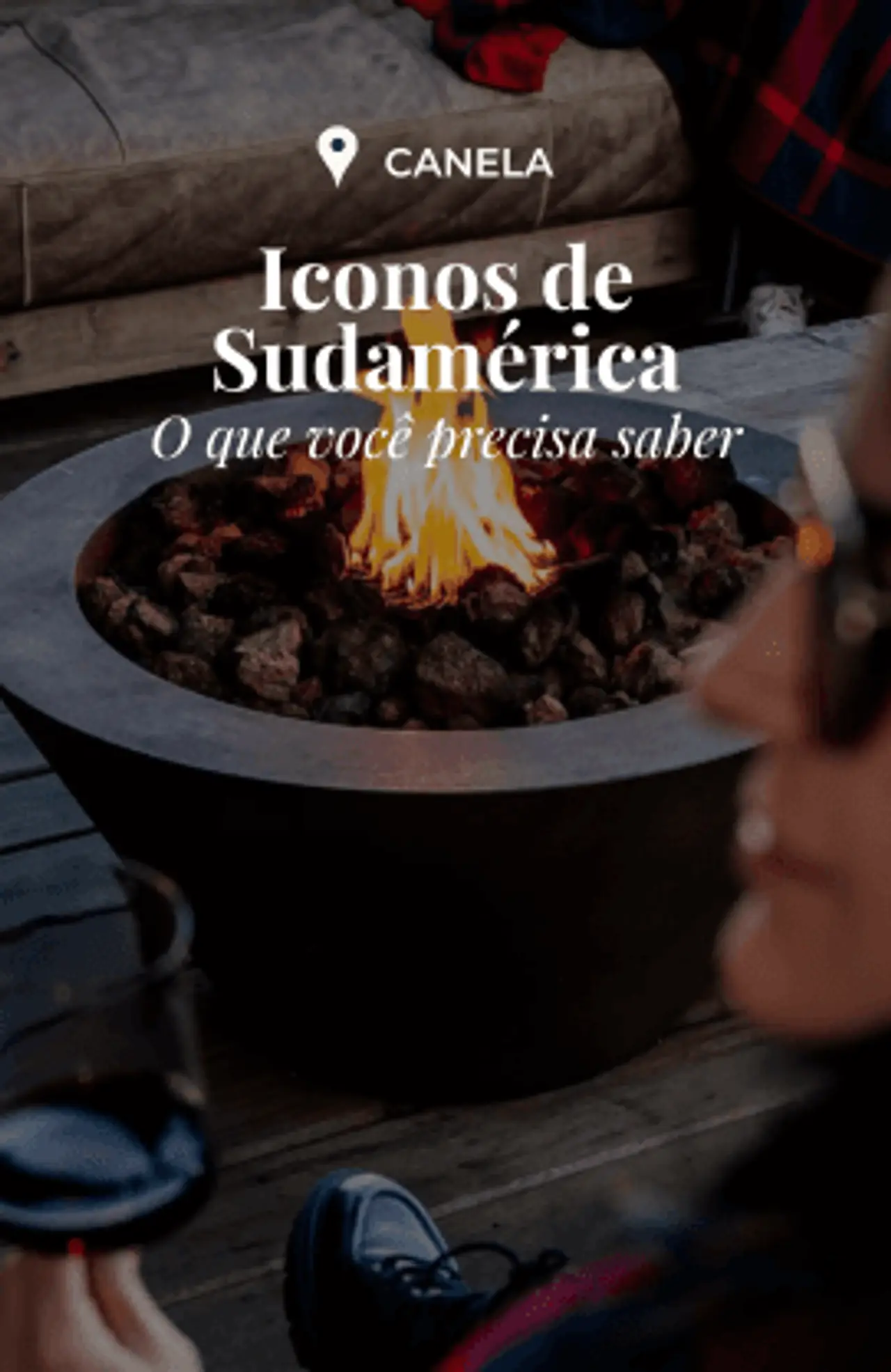 Cover - 219