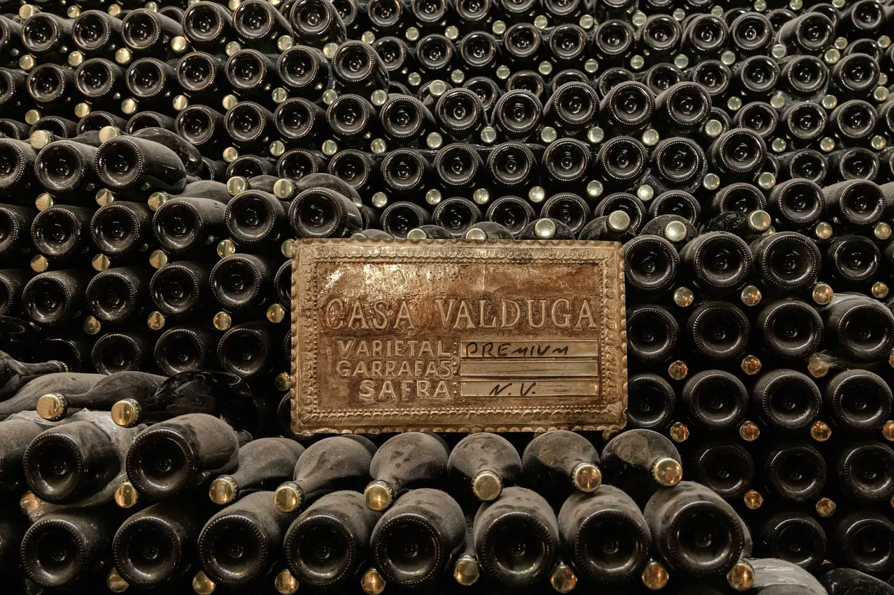 Cover Card