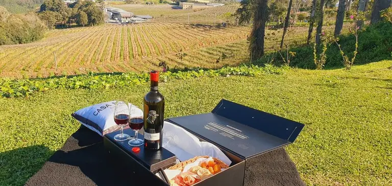 Cover - Experiência Ícone Vintage Blend na Vinícola Casa Perini