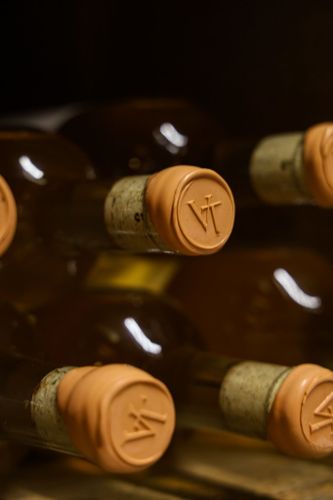 Cover - Degustação de Vinhos Naturais Guiada Pelo Enólogo na Vinícola Vinum Terra