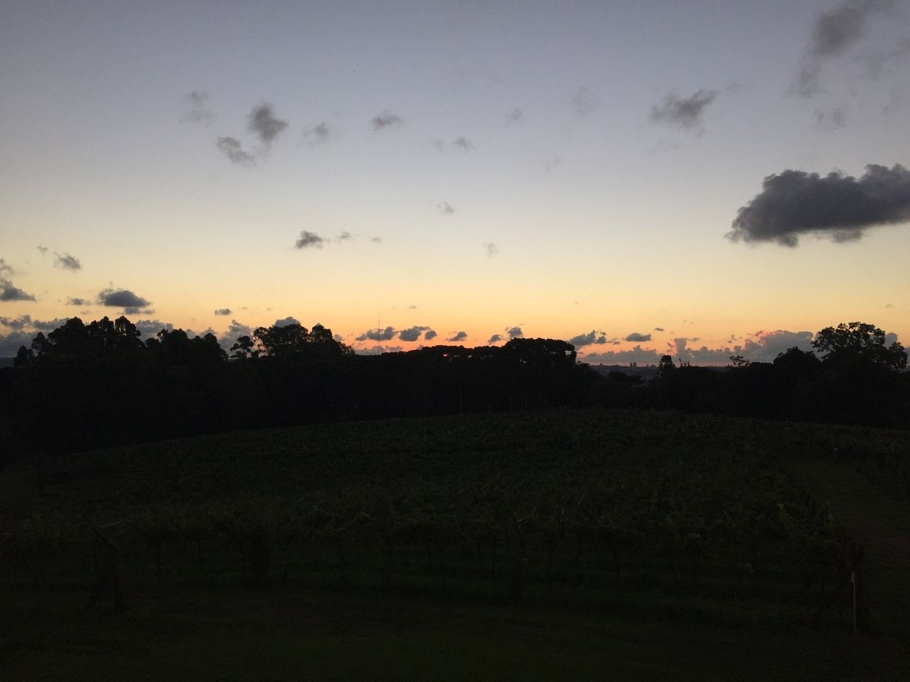 Image - 3